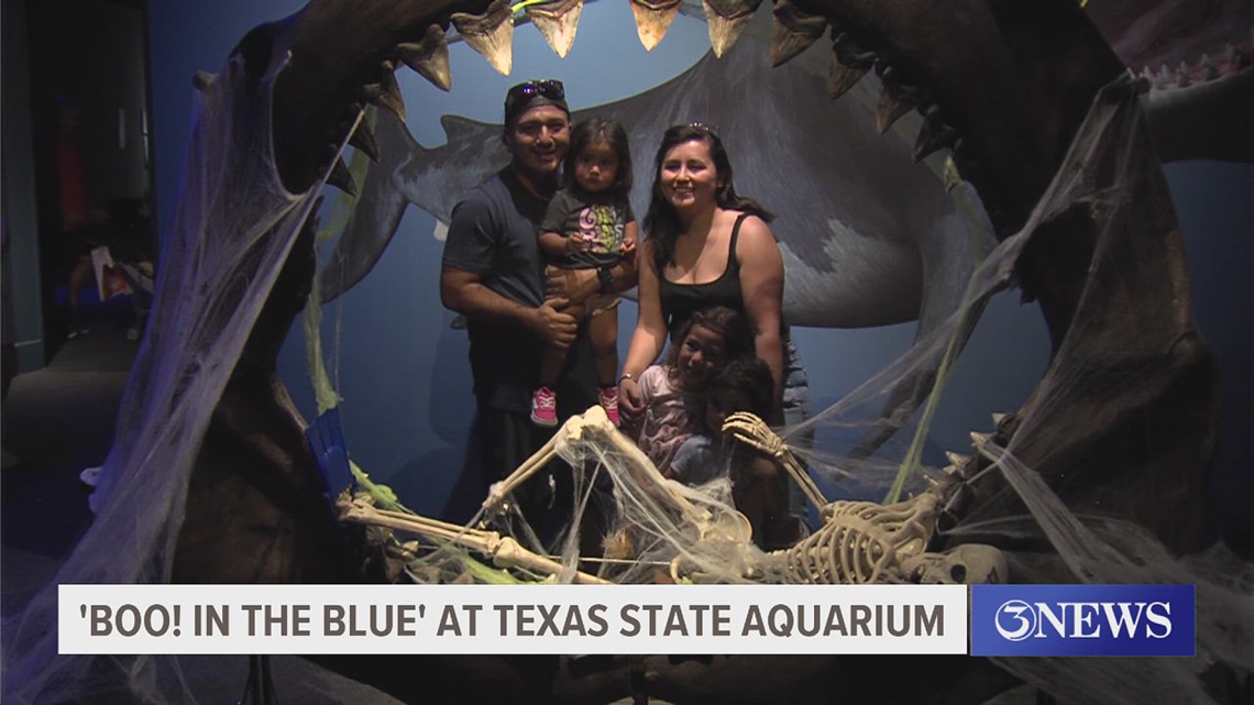 “Boo in the Blue” Delivers Halloween Excitement at the Texas State Aquarium