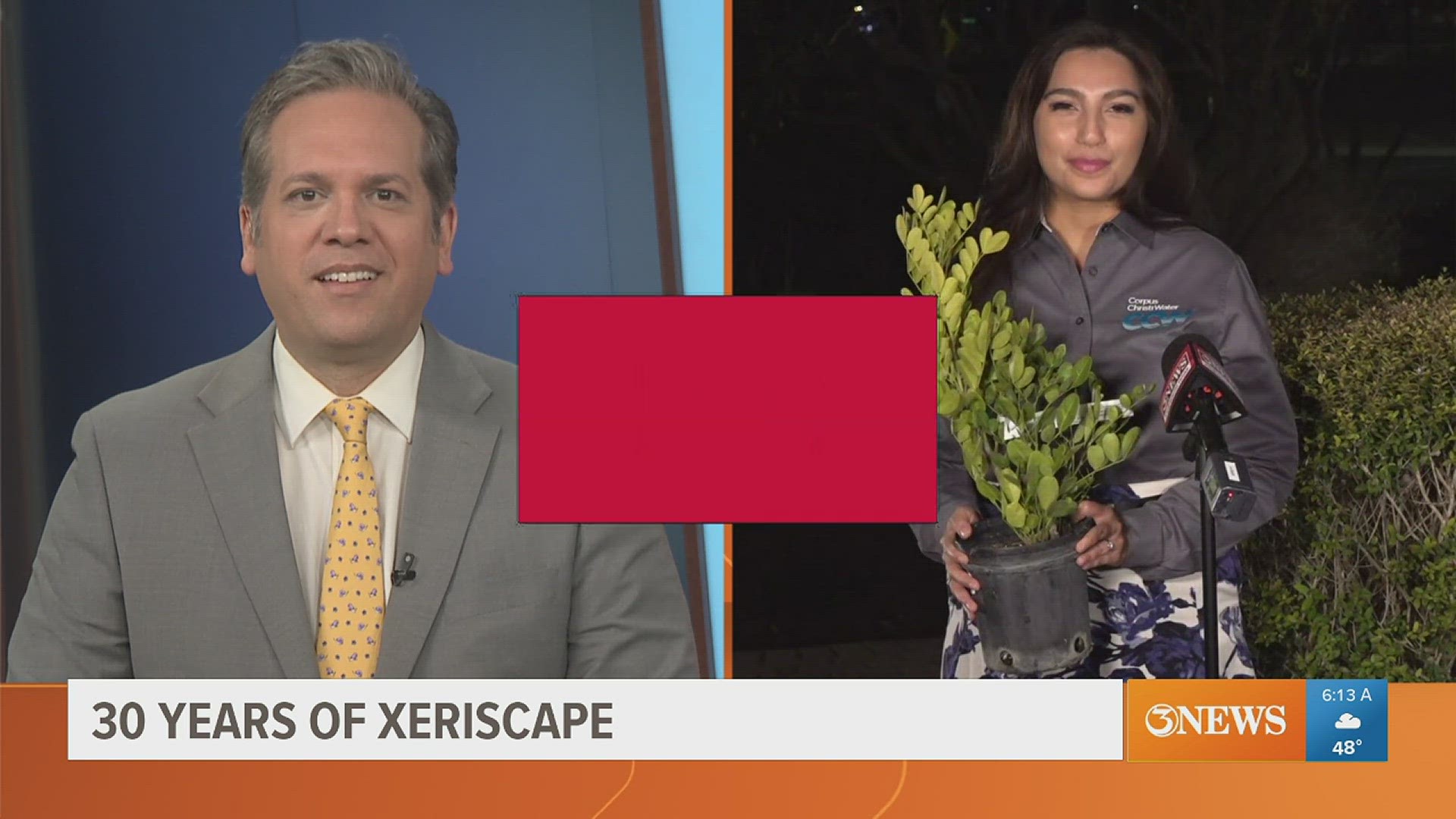 Adrianna Escamilla of Corpus Christi Water joined us on First Edition to discuss xeriscape gardening and other measures residents can take to conserve water.