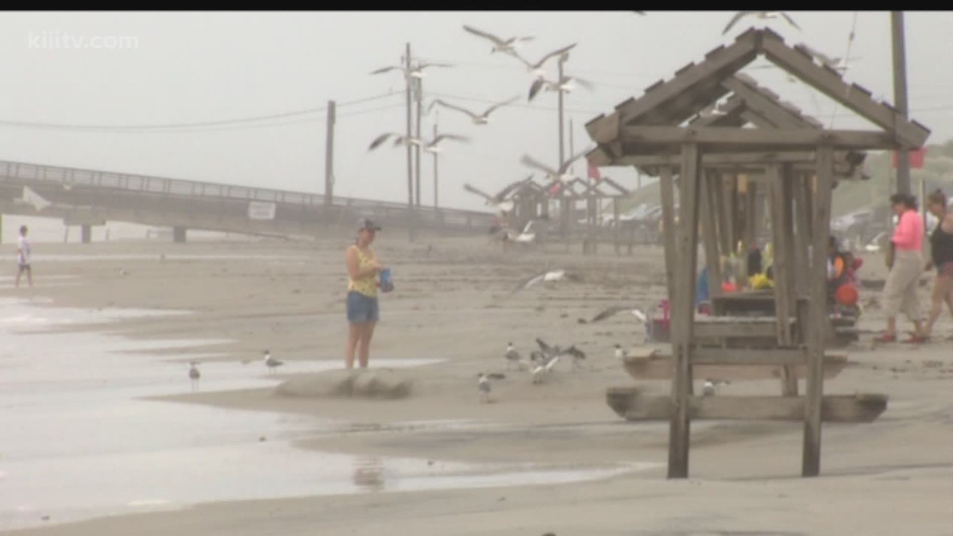 The rain along the coast and the beaches were not enough Tuesday to keep some people away. 