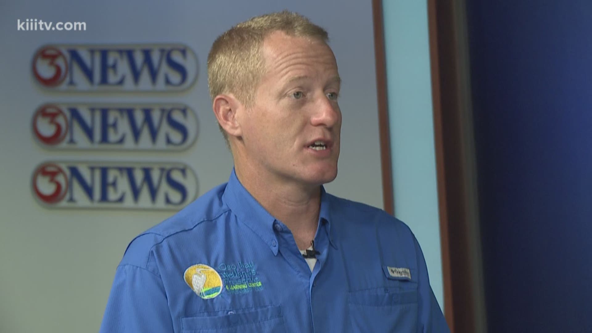 Caleb Harris from the Oso Bay Wetlands Preserve joined us on First Edition to talk about some bird species that nest locally at the preserve. 