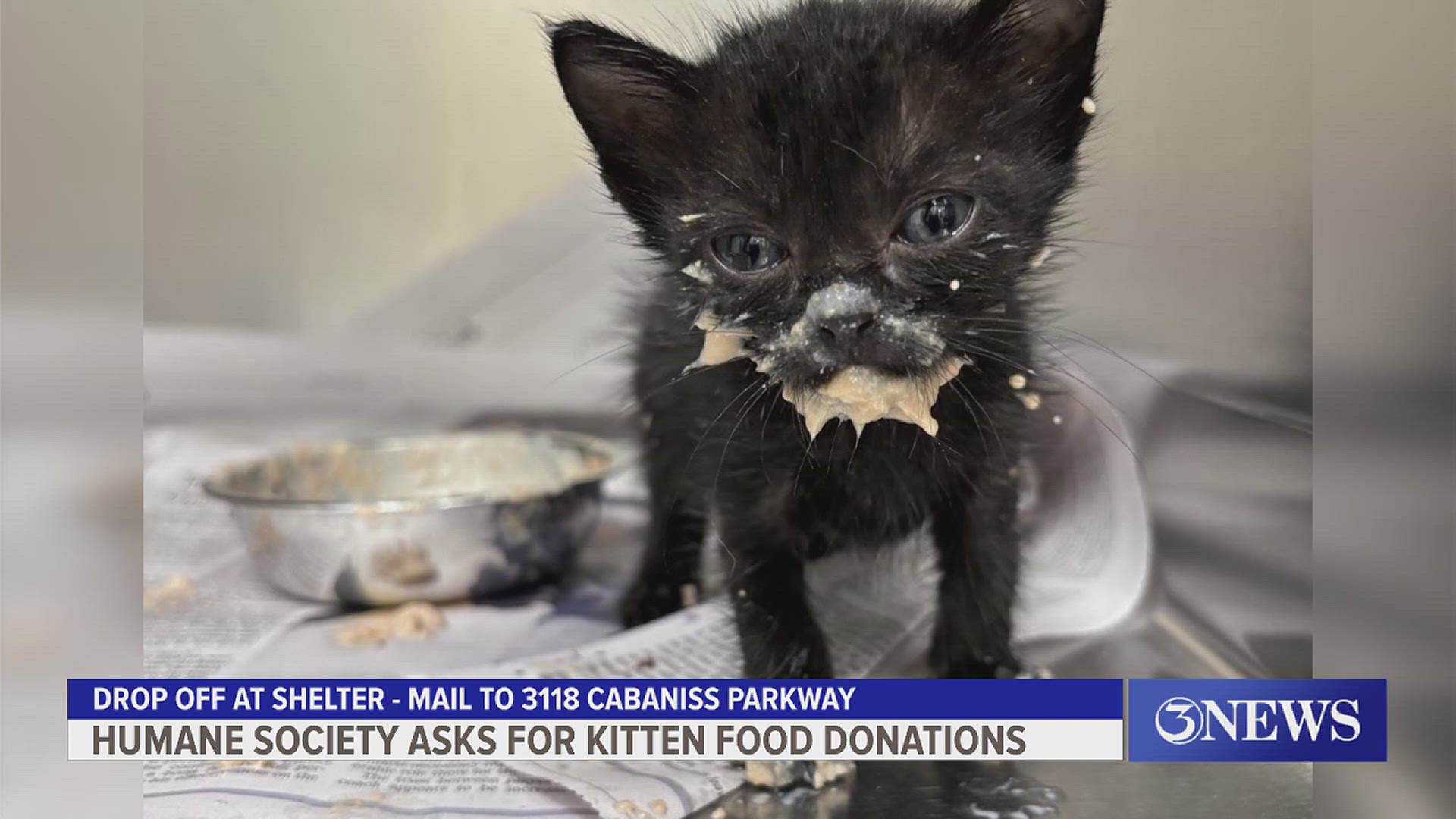Donations can be dropped off at the shelter or mailed.