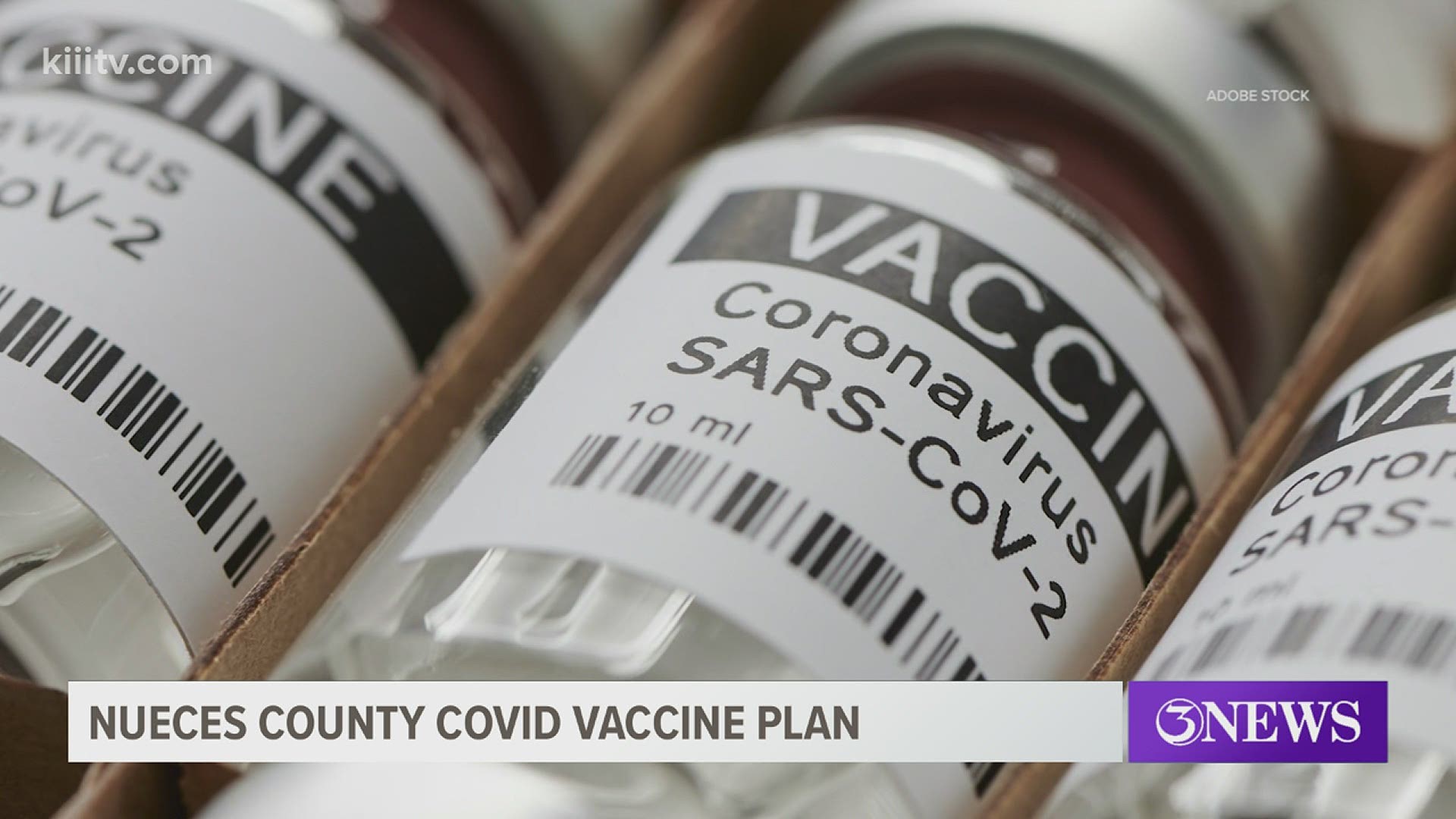 Health leaders in the Coastal Bend say they have a plan to distribute a COVID-19 vaccine based on their experience dealing with the outbreak of H1-N1.