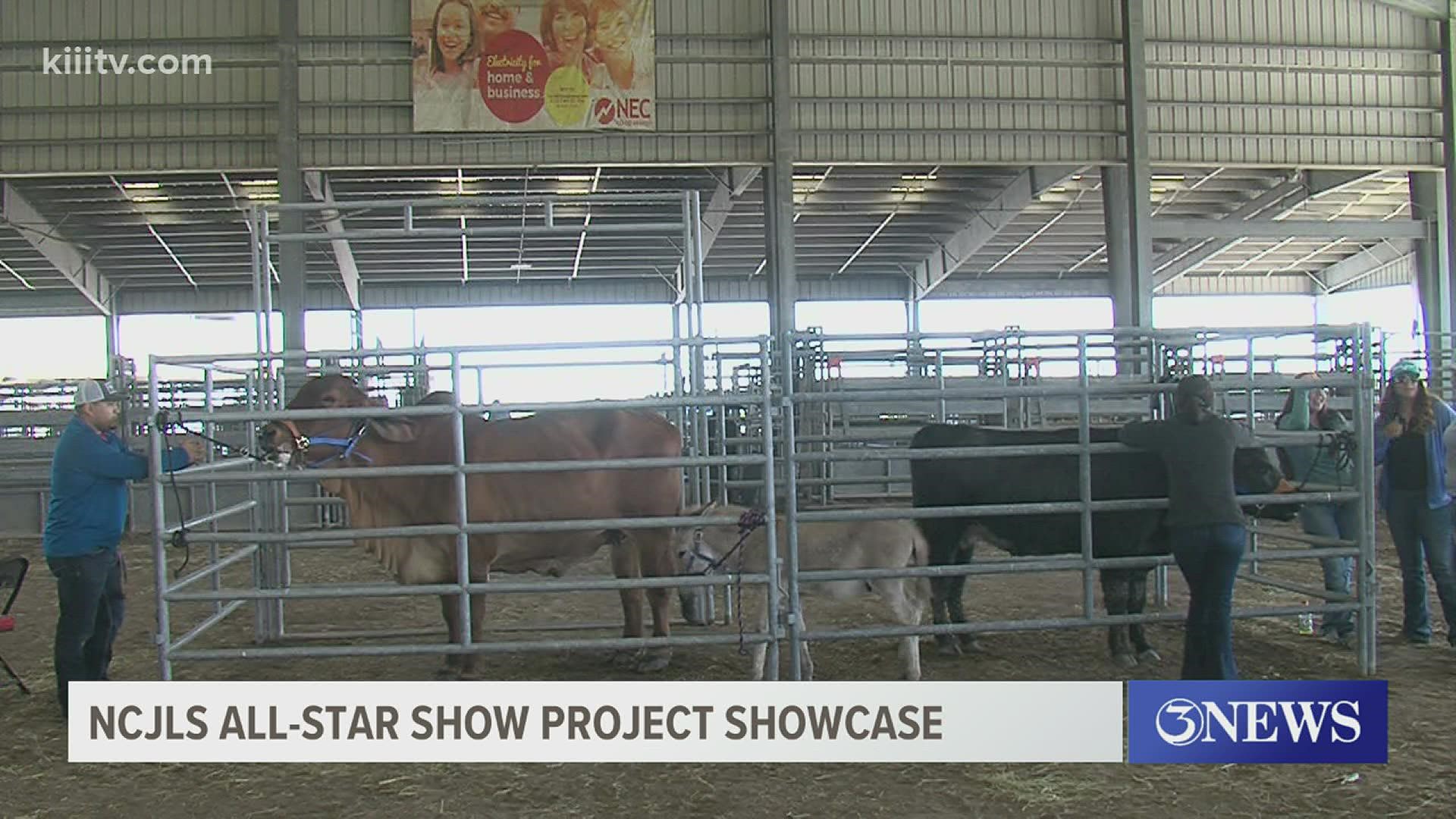 NCJLS hosts all-star show project showcase in Robstown