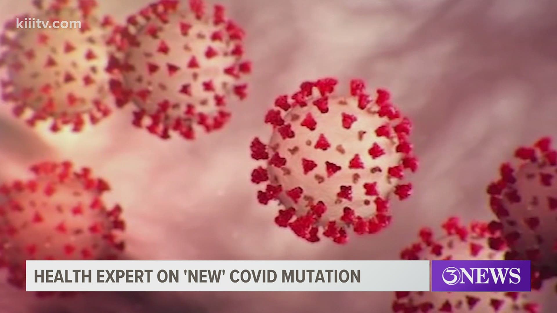 Infectious Disease Specialist Dr. Fergie said the variant, or mutation of the COVID-19 virus, has been closely monitored since September.