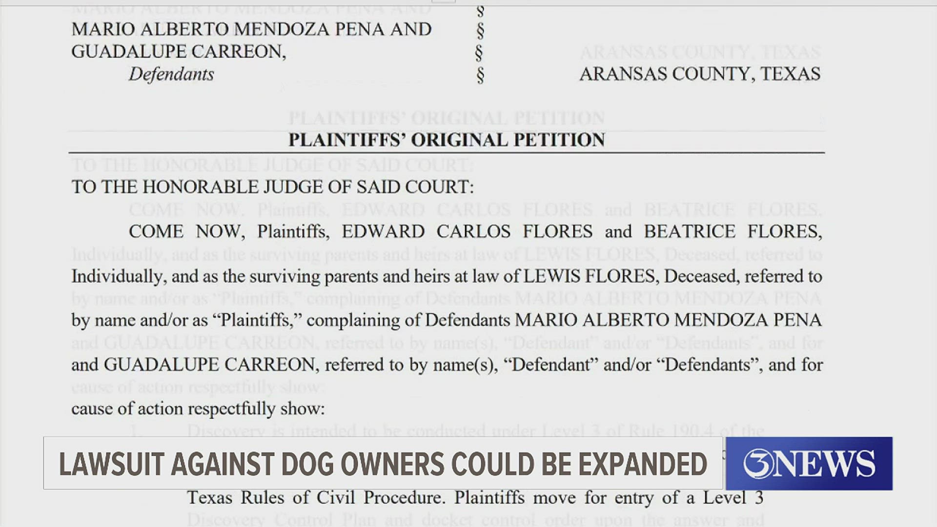 The civil suit filed by the high-profile attorney's firm June 30 is aimed at the dogs' owners, but he said it could be expanded, depending on the facts.