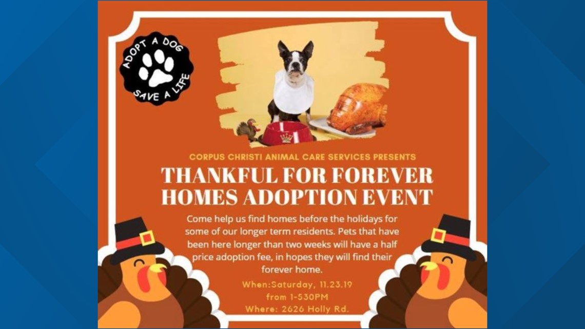 Corpus Christi Animal Care Services presents Thankful for Forever Homes