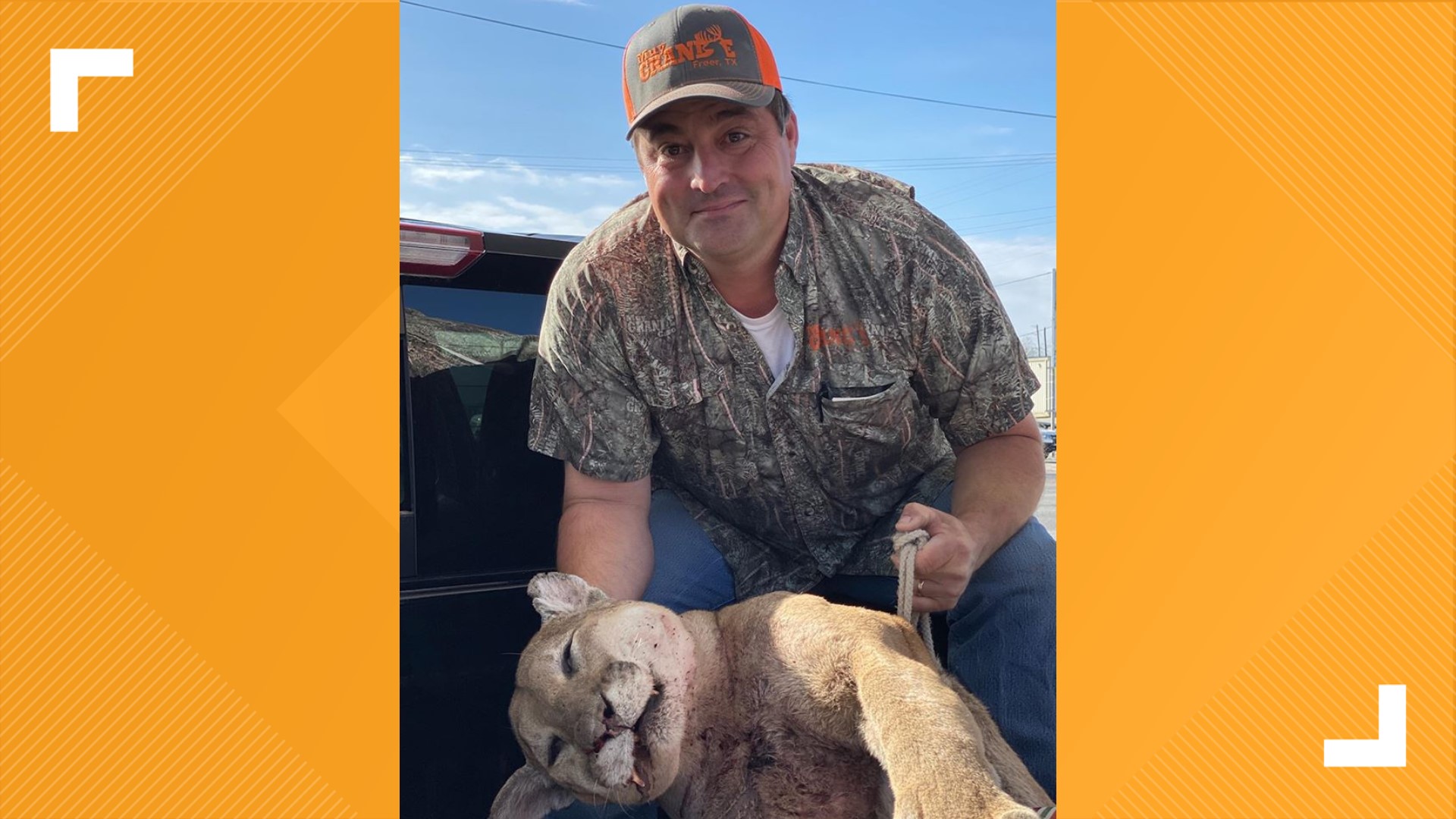 Hunter kills 143 pound mountain lion at ranch in Freer, Texas