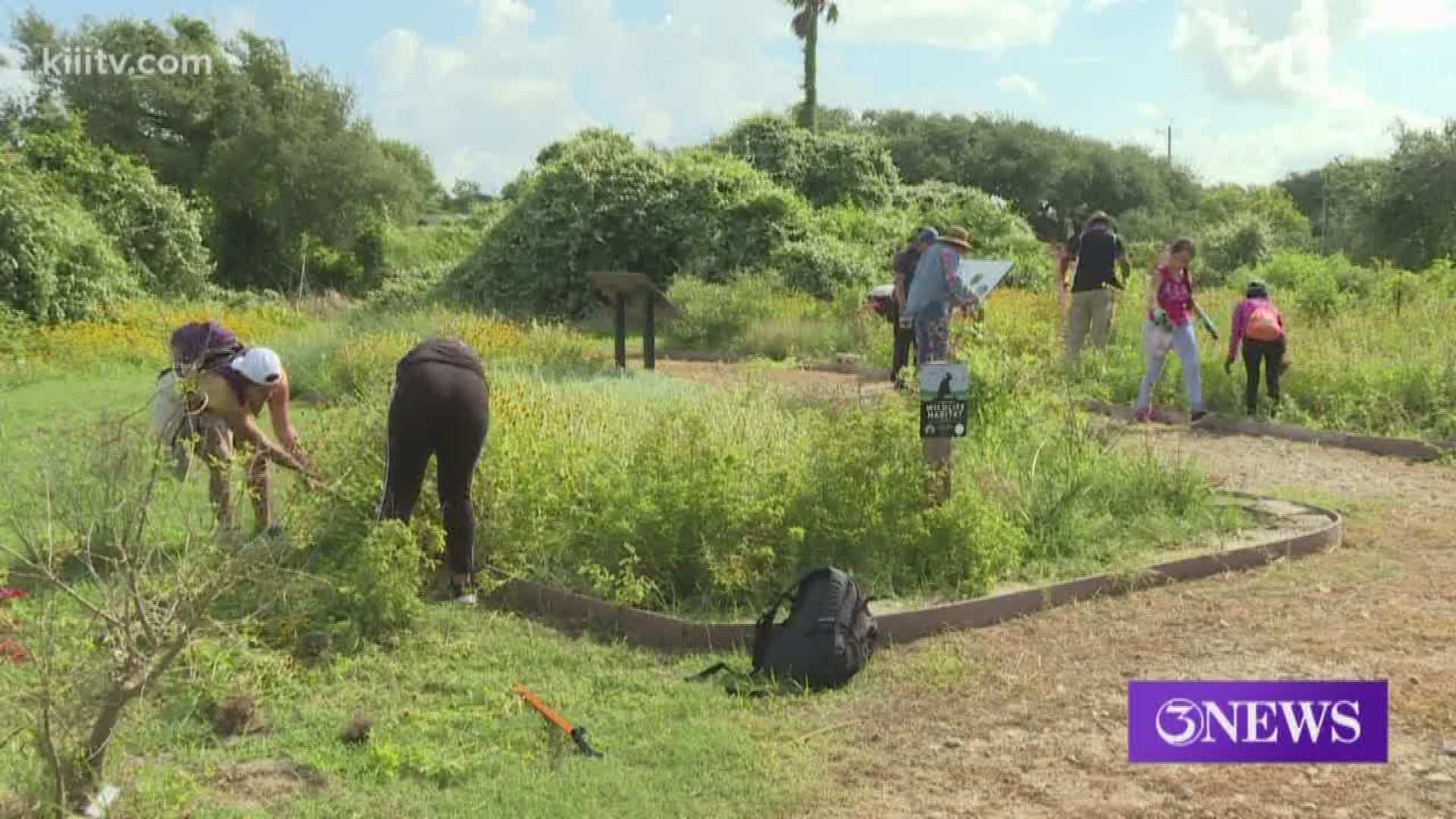 More than a dozen high school girls from the Houston and San Antonio areas were in Rockport, Texas, Wednesday to help residents there in their recovery efforts since Hurricane Harvey.