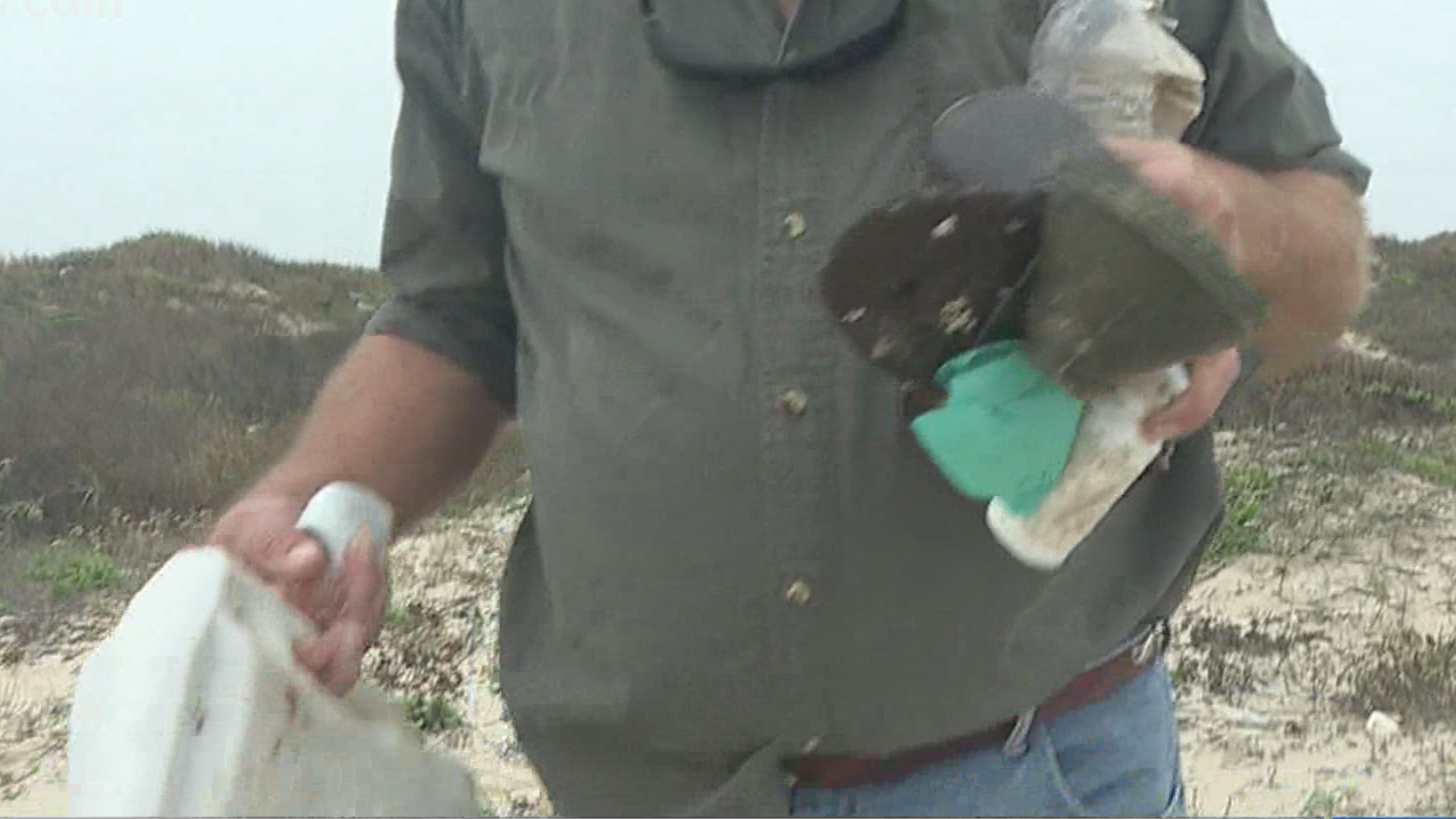 Organizers said the annual clean up, which covers nearly 40 miles along the Padre Island National Seashore, will be happening Saturday, February 27.