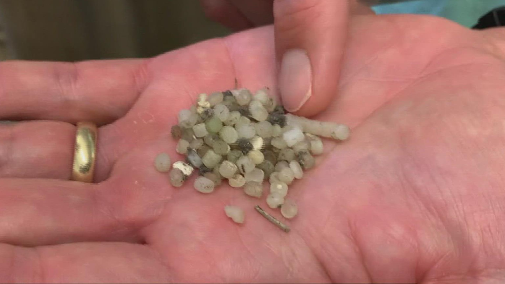 Nurdles are tiny pre-production plastic pellets which are eventually turned into everyday plastic items.