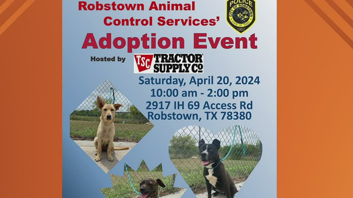 Robstown Animal Control Services holding adoption event | kiiitv.com