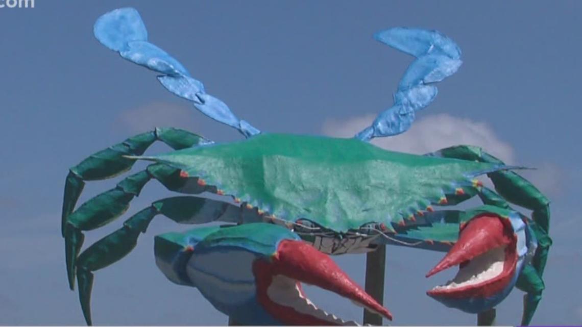 Campaign begins to bring back big blue crab to Rockport | kiiitv.com