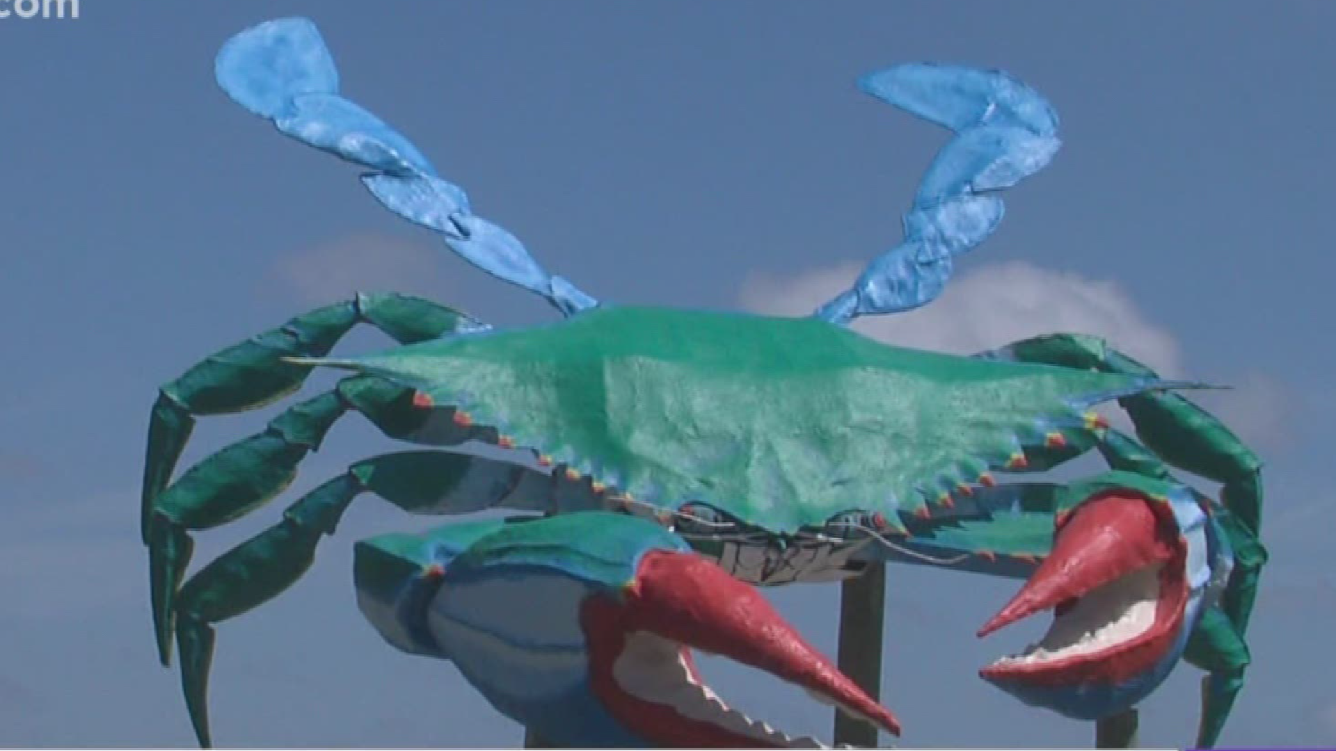 A famous Rockport blue crab is expected to return soon to Rockport Beach Park.