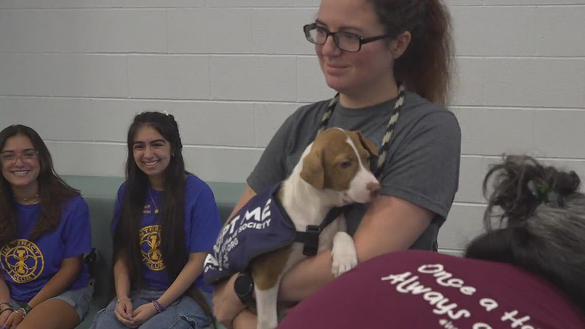 Flour Bluff's convocation focused on mental health and wellness, they treated their teachers and staff to everything from emotional support animals to free massages.