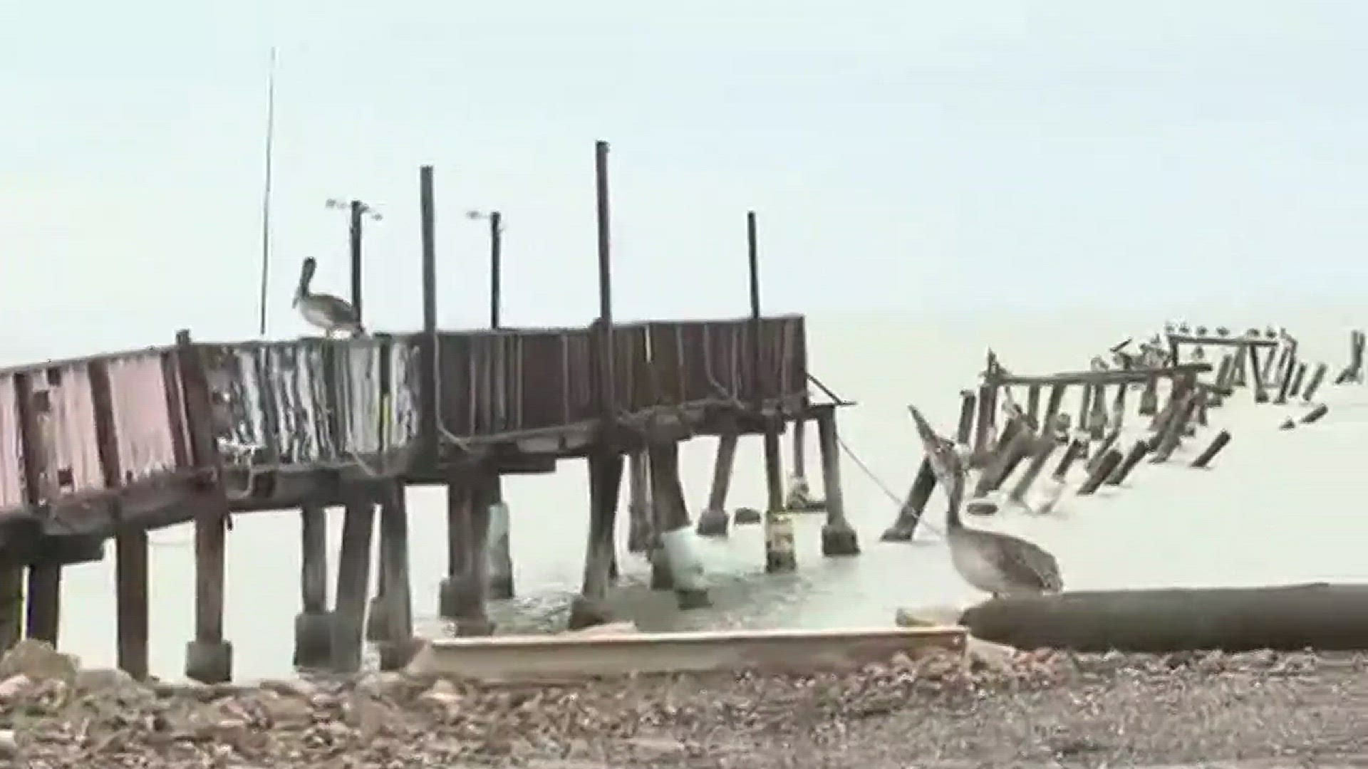 Heather Gustafson goes to Oso Pier, which has been mostly destroyed. The Island University nearby was not impacted.