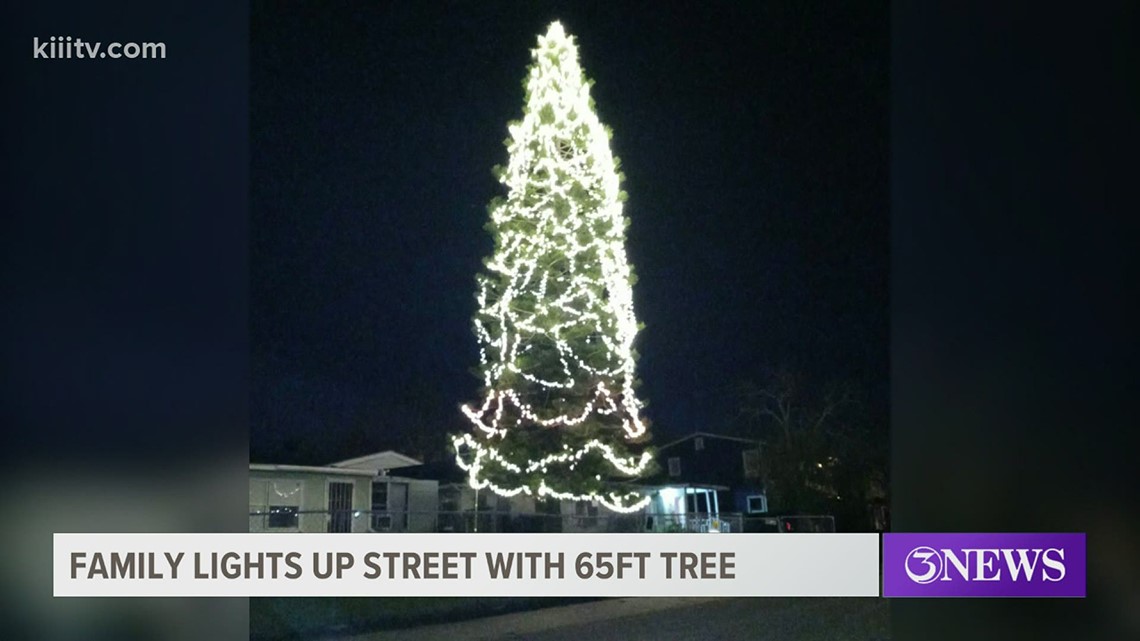 Coastal Bend neighborhood 65-foot tree - Vimarsana News