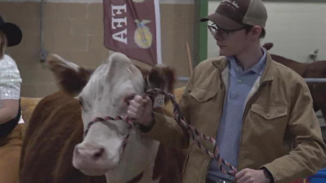 Banquete students at Nueces County Junior Livestock Show - Vimarsana News