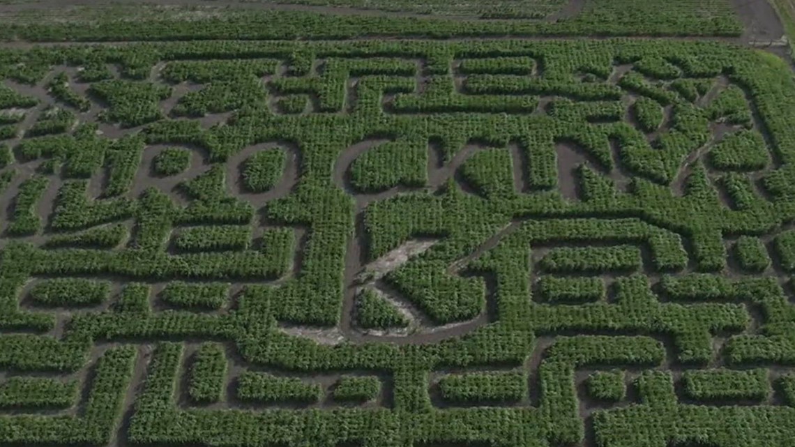 Rockin' K Farms celebrates 10 years of fall festivities