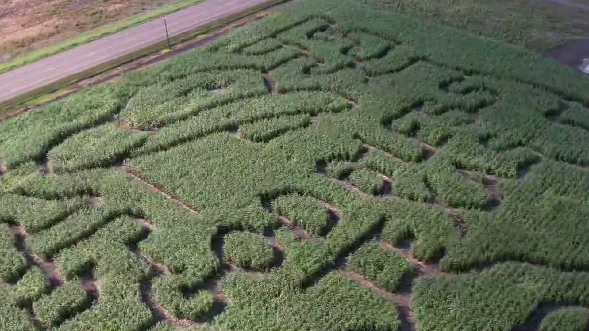 The Robstown staple's annual opening is a sure indicator that fall has arrived.