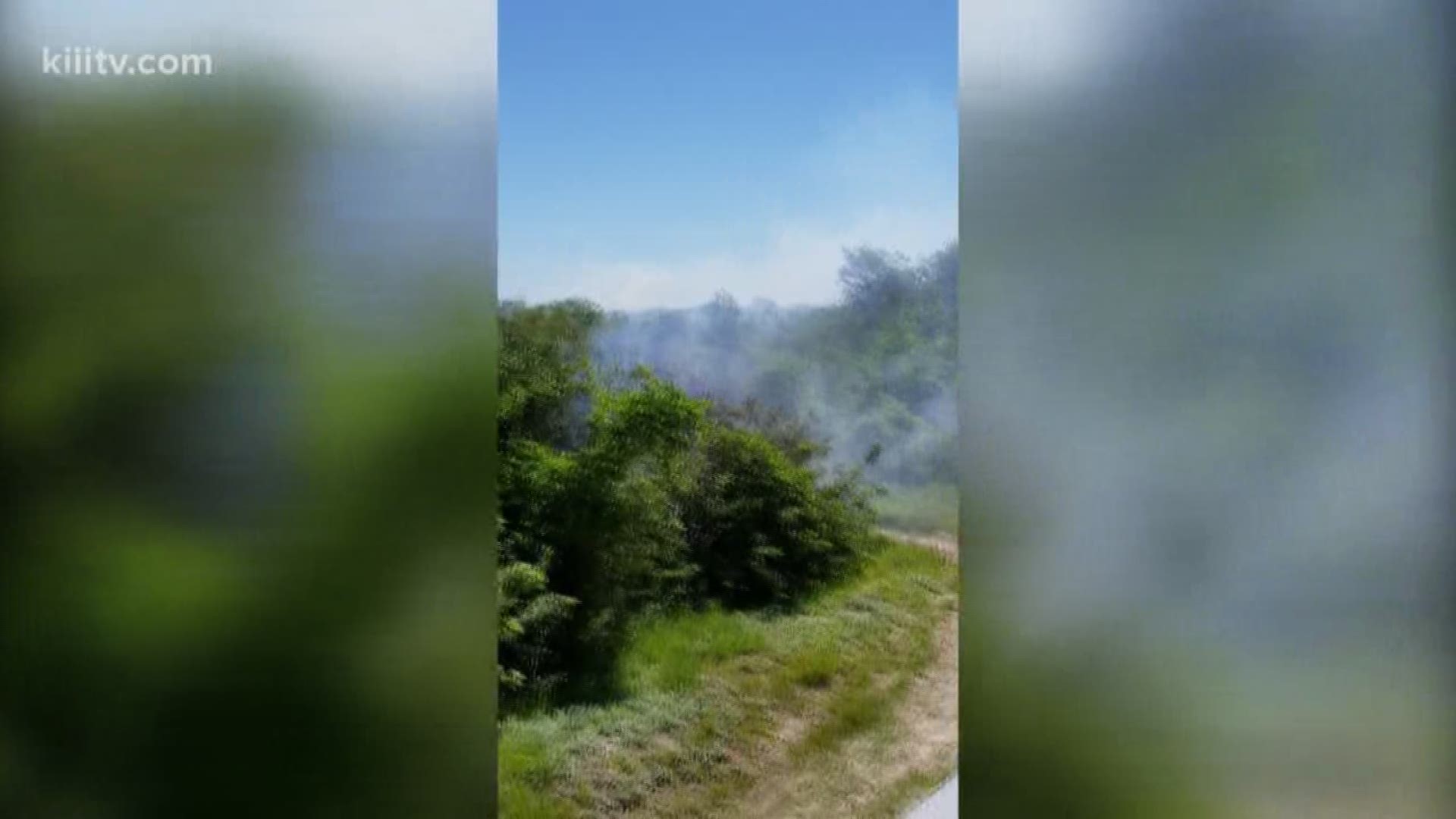 Authorities said it is possible that an arsonist might have been behind several fires that broke out Friday around the Coastal Bend.