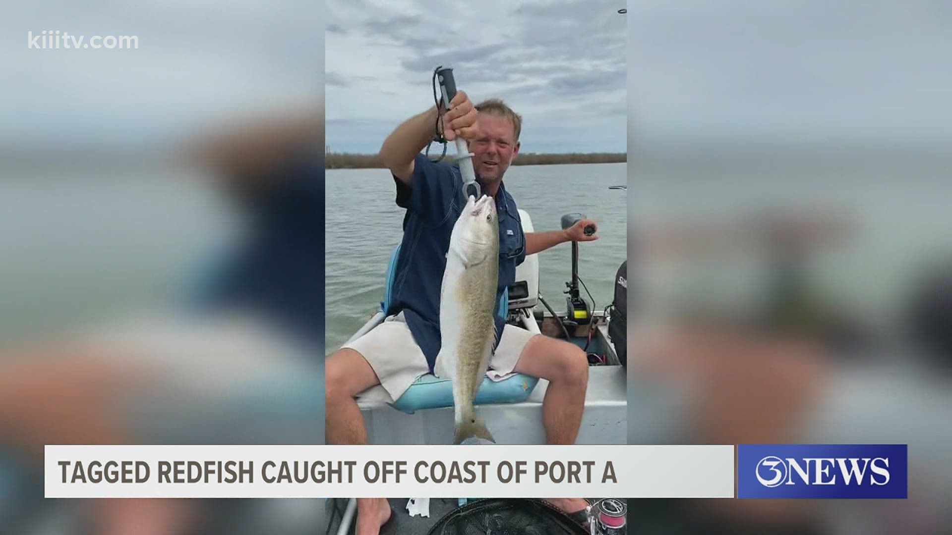 Just the other day, his family convinced him to make a fishing trip, and a couple of casts later, he caught the tagged red fish and the prize that comes with it.