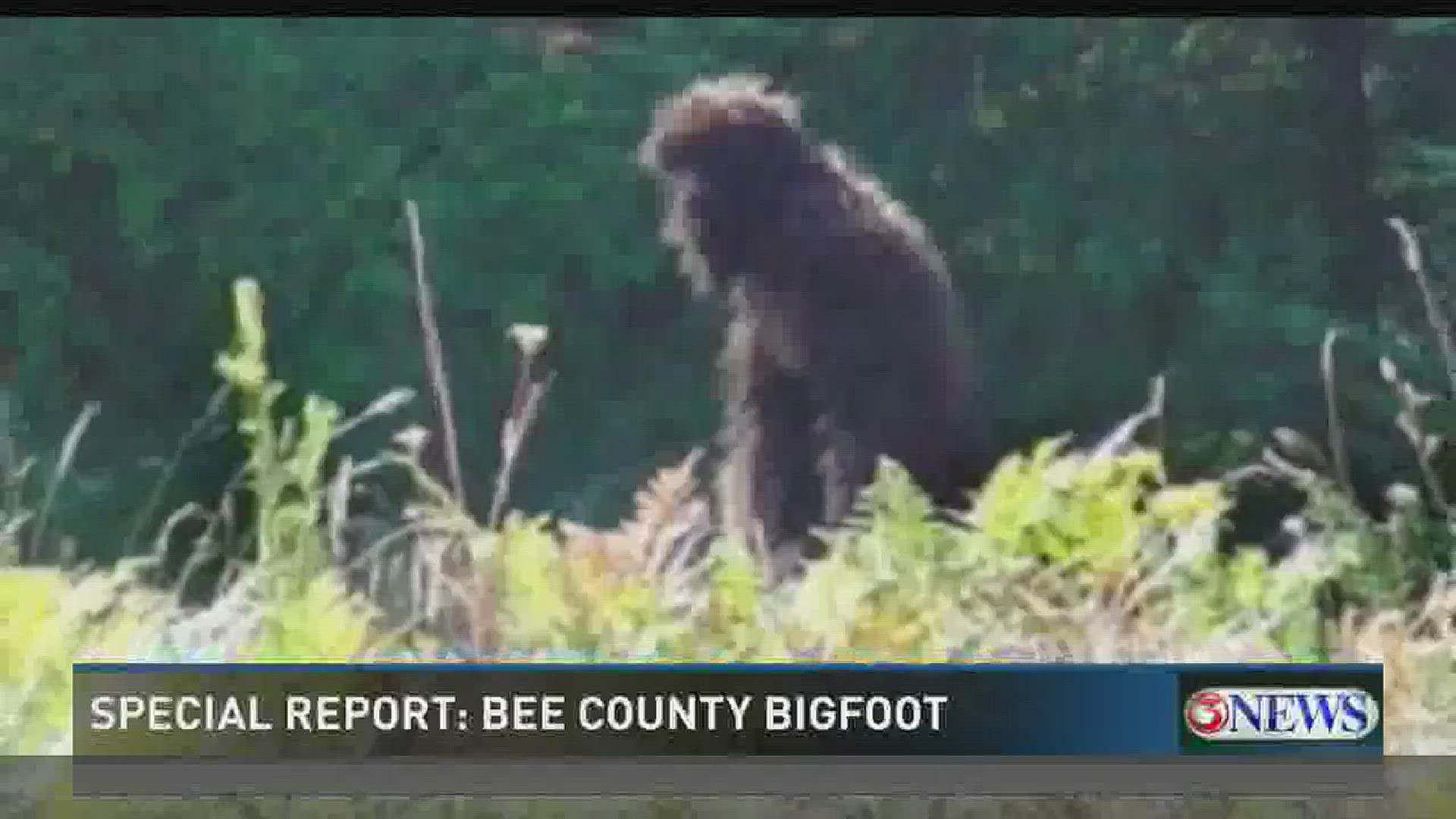 Creature resembling Bigfoot caught on camera walking across