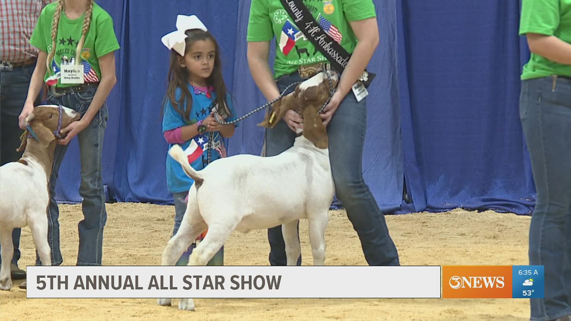 Special needs exhibitors had the chance to show an animal Wednesday during the Nueces County Junior Livestock Show All Star Show.