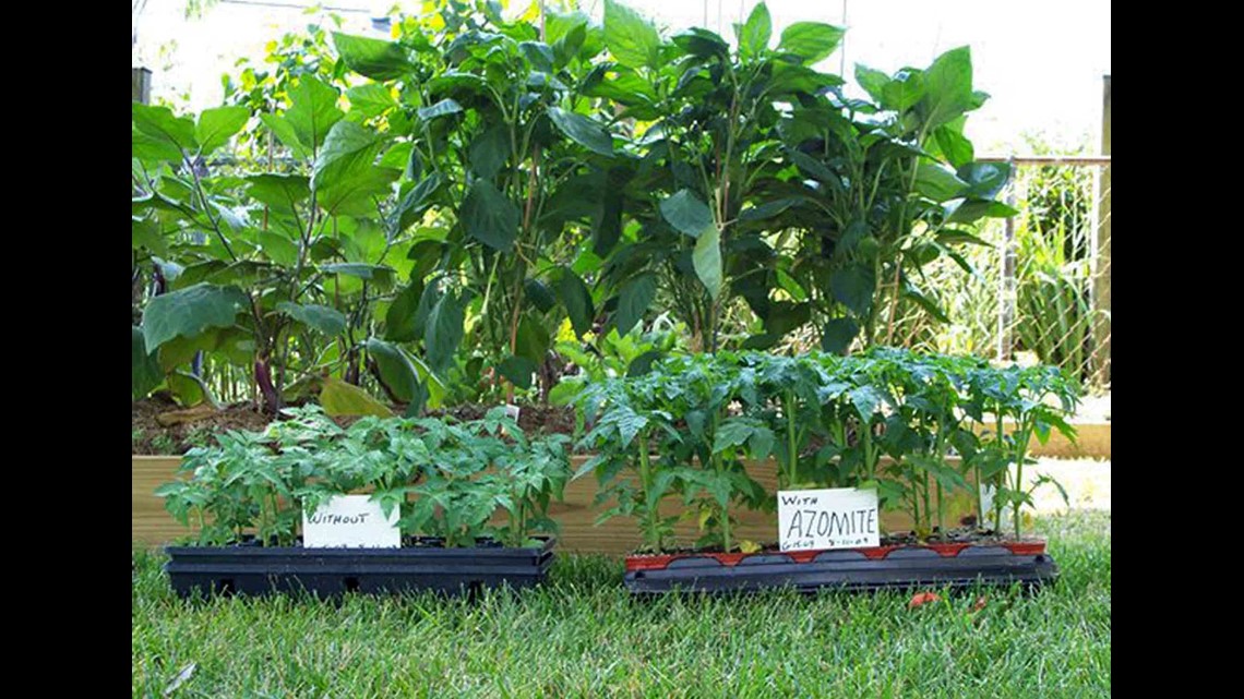 Rock Dust For Gardens Fasci Garden