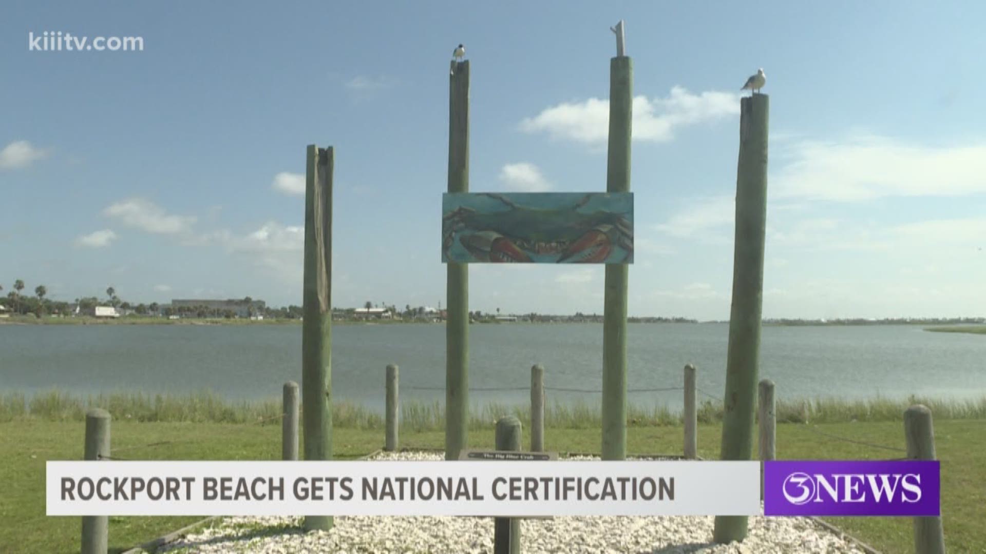 The City of Rockport received a big honor Wednesday as the Clean Beaches Coalition dubbed Rockport Beach a "Blue Wave Beach".
