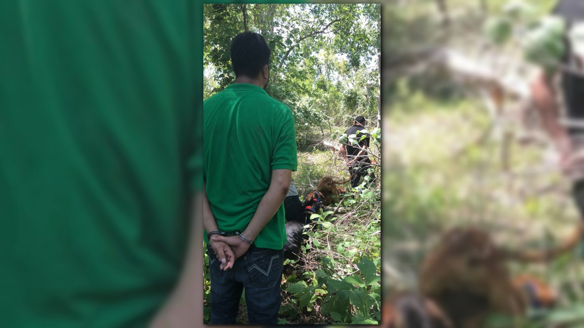 Four immigrants detained after bailout in Refugio County