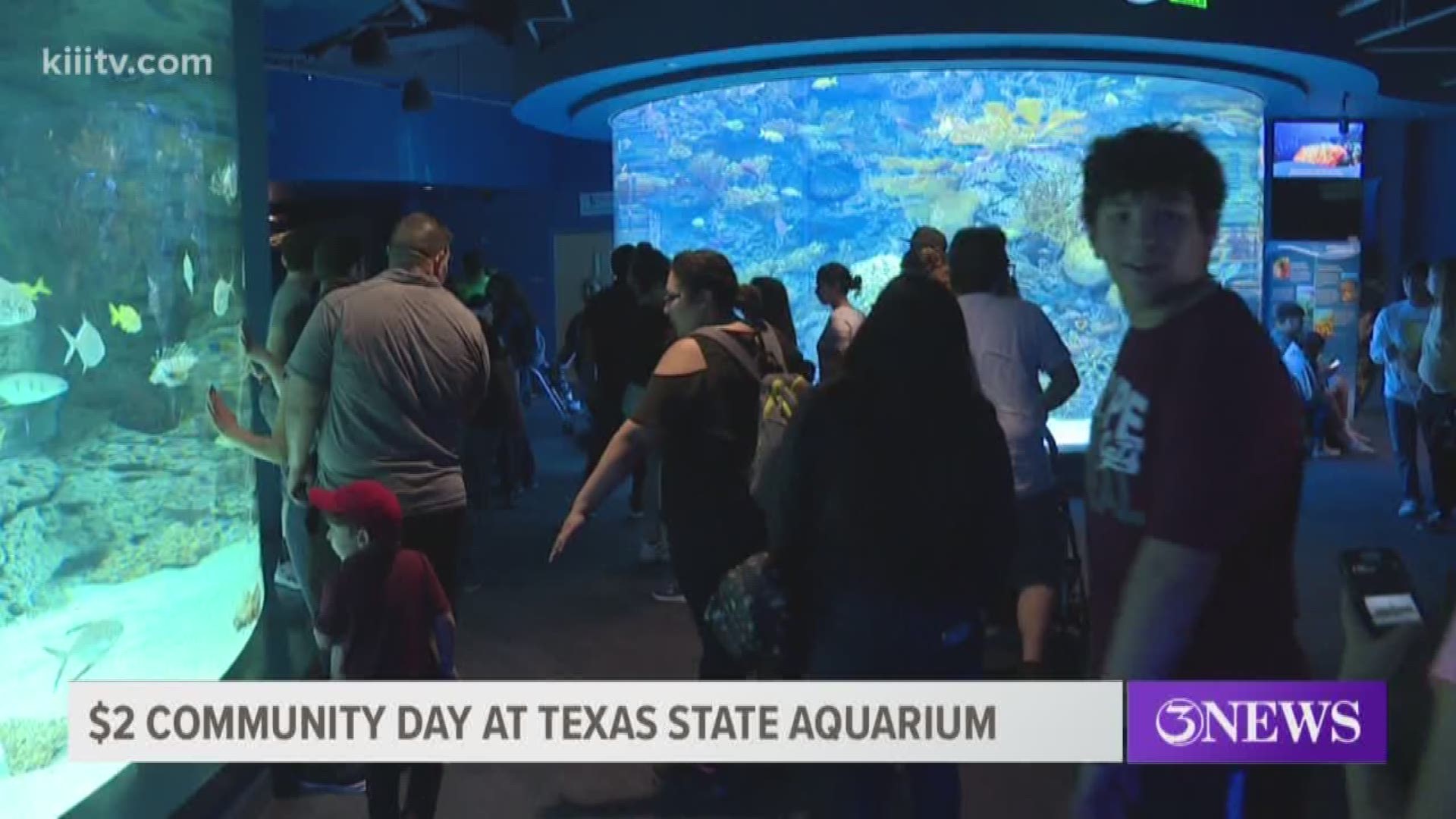 All the guest's admission money goes back to the aquarium's operations like animal care, staffing, and rescue programs.