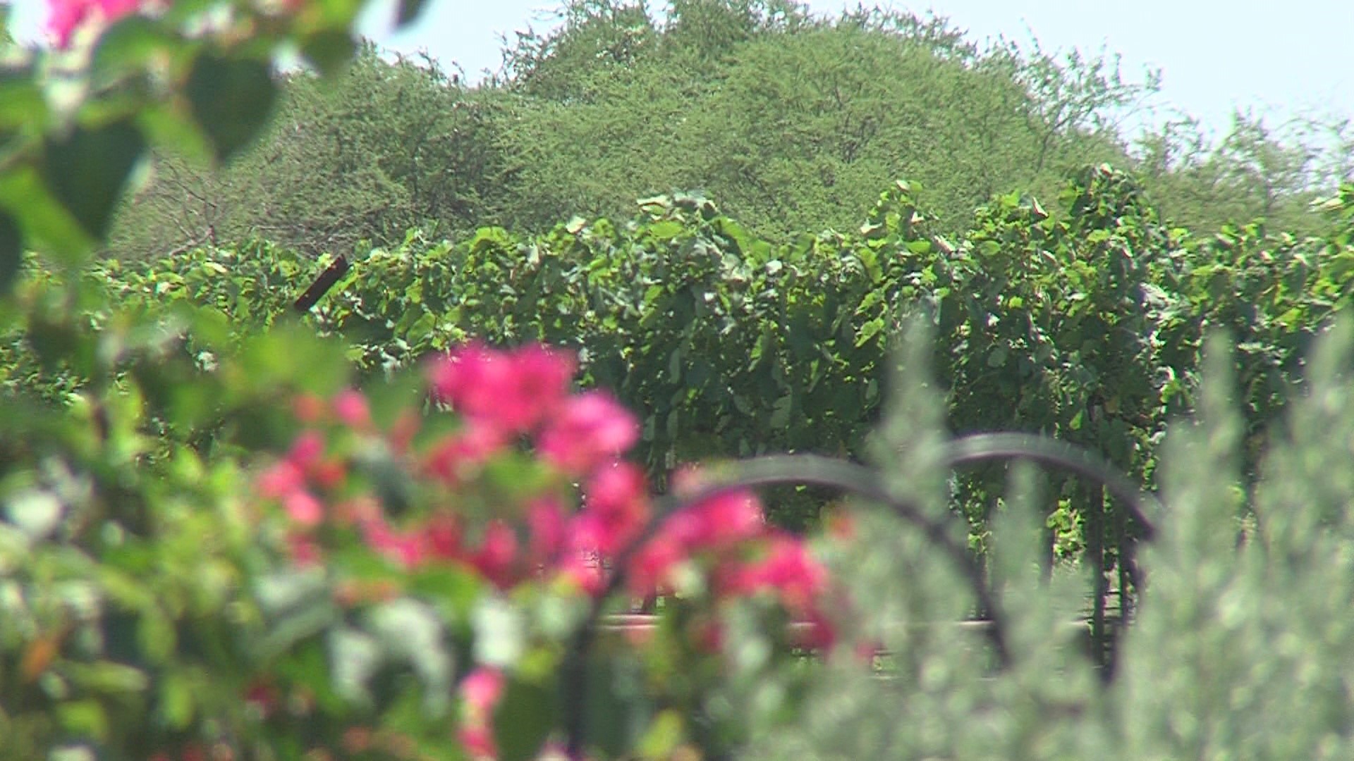 A local family who took a risk on what started as a hobby involving winemaking ended up uncorking a big business.
