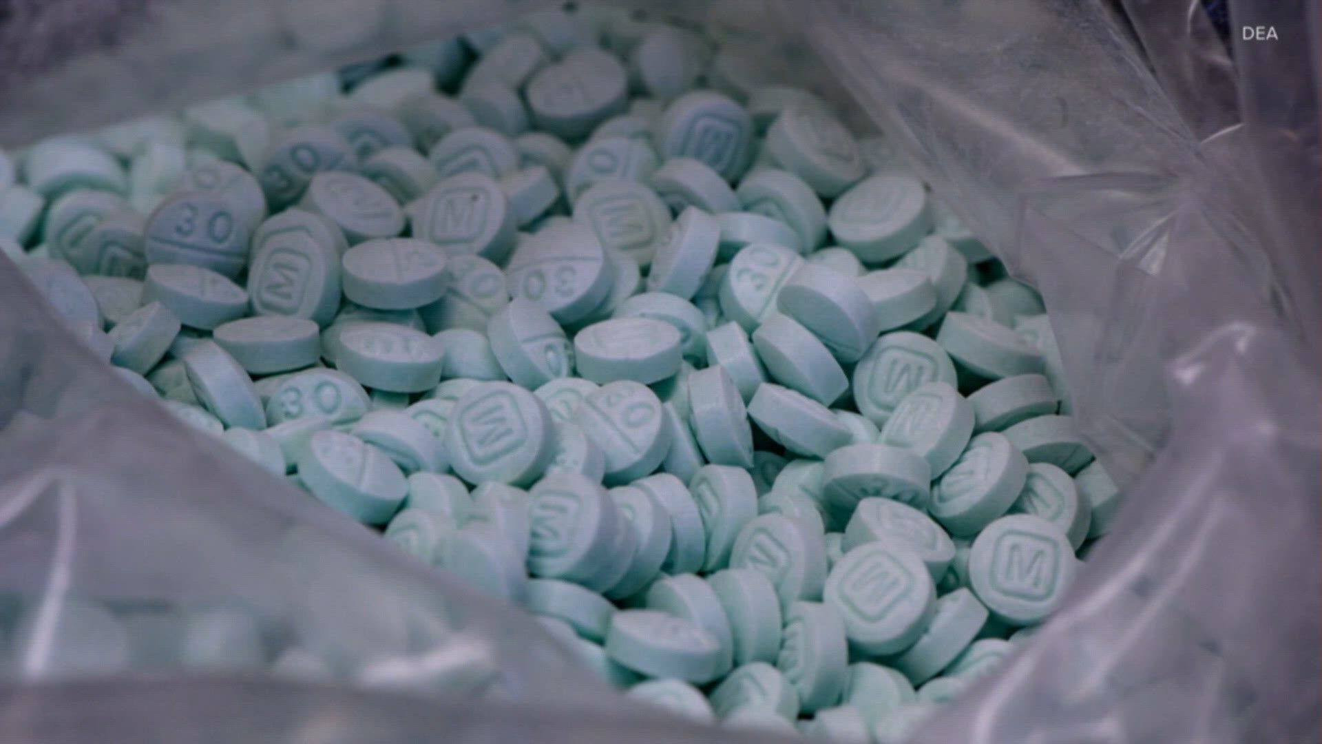 Corpus Christi among nearly 1,000 cities being investigated by Texas AG ...