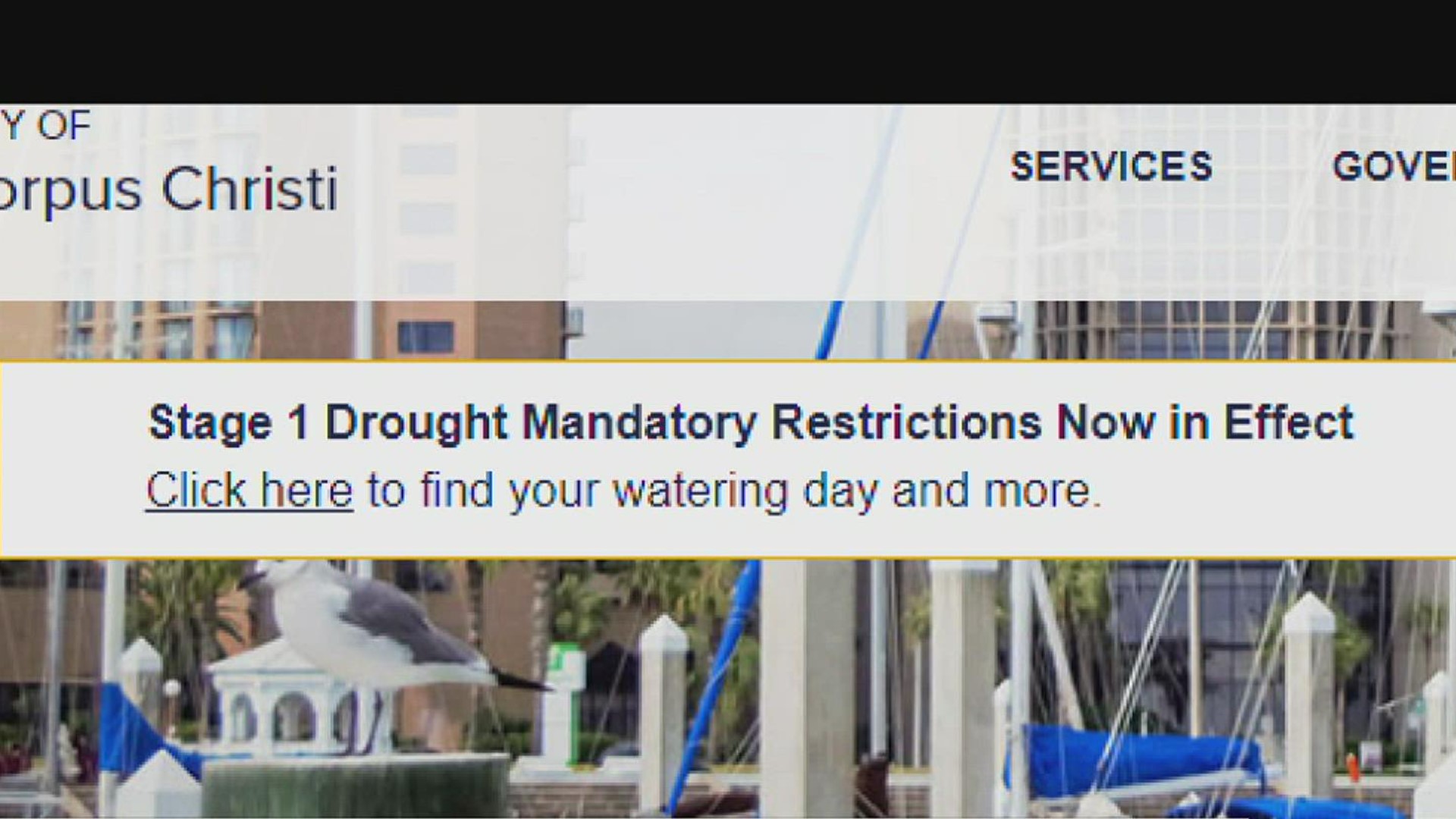 There have been 135 calls to the City call center about water restrictions -- 88 asking for details, and 47 reporting watering violations.