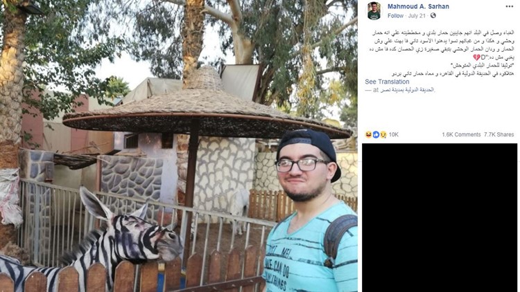 Egypt Zoo Accused Of Painting Donkey To Look Like A Zebra | Kiiitv.com