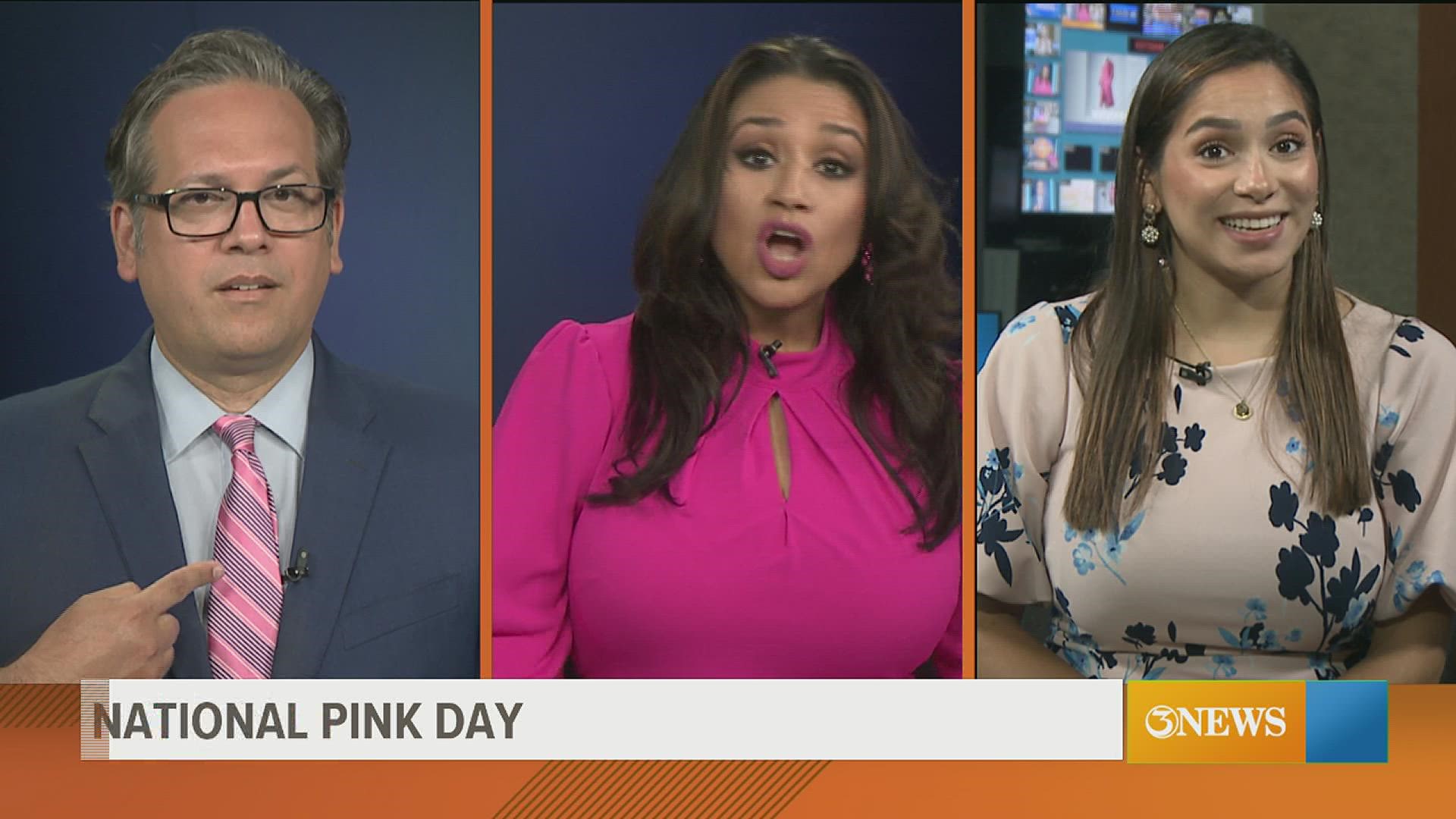 June 23rd is National Pink day, a time to celebrate all things pink. First Edition looked back at the history of this color and its influences throughout culture.