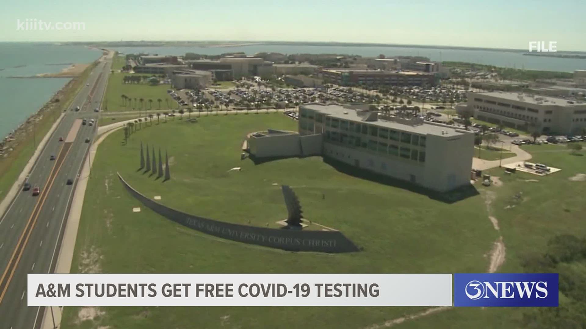 All 11 Texas A&M System universities will be providing free COVID-19 testing for students, staff and faculty.