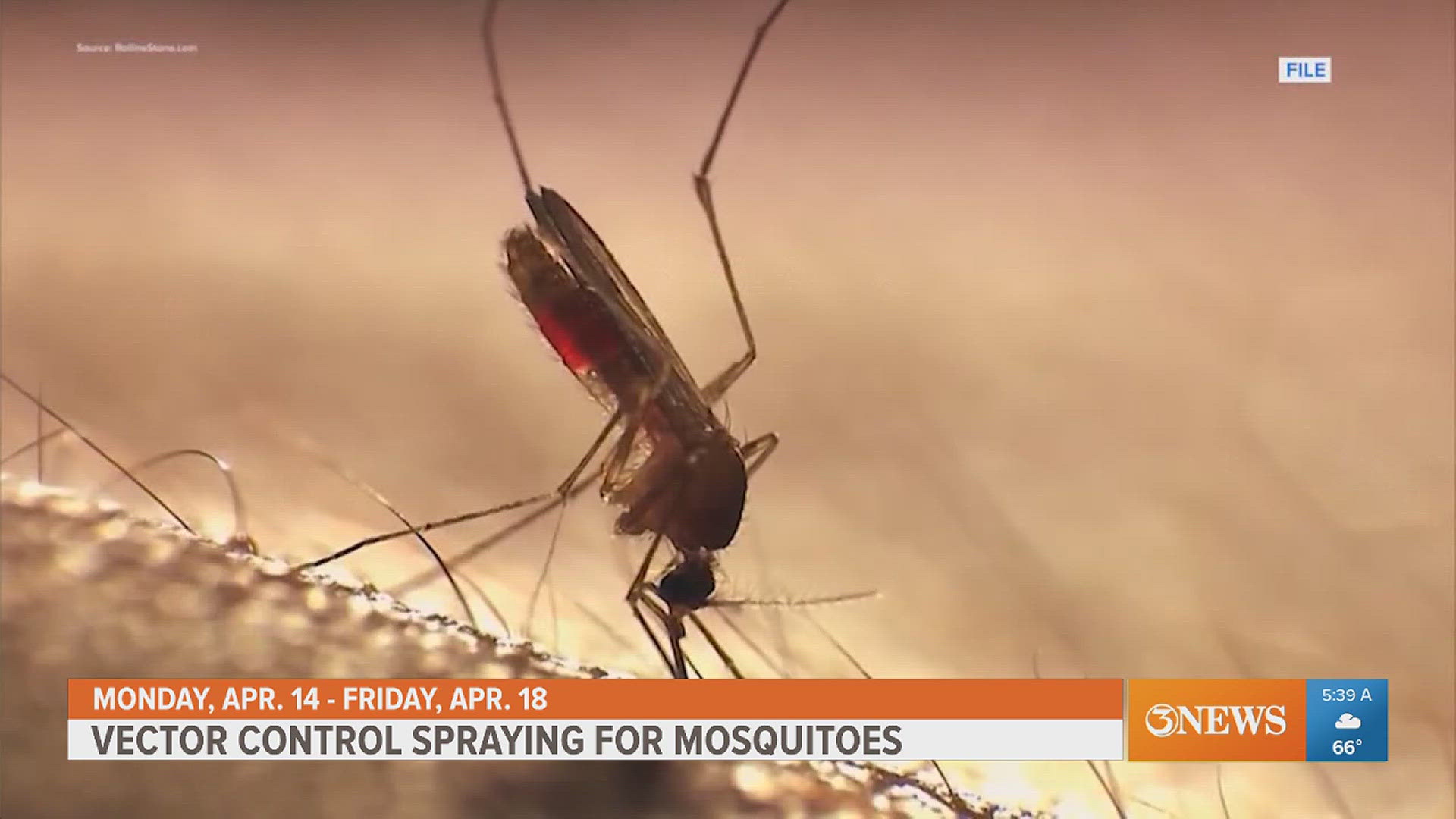 Vector Control Spray City’s vector control crews already spraying for mosquitoes | kiiitv.com
