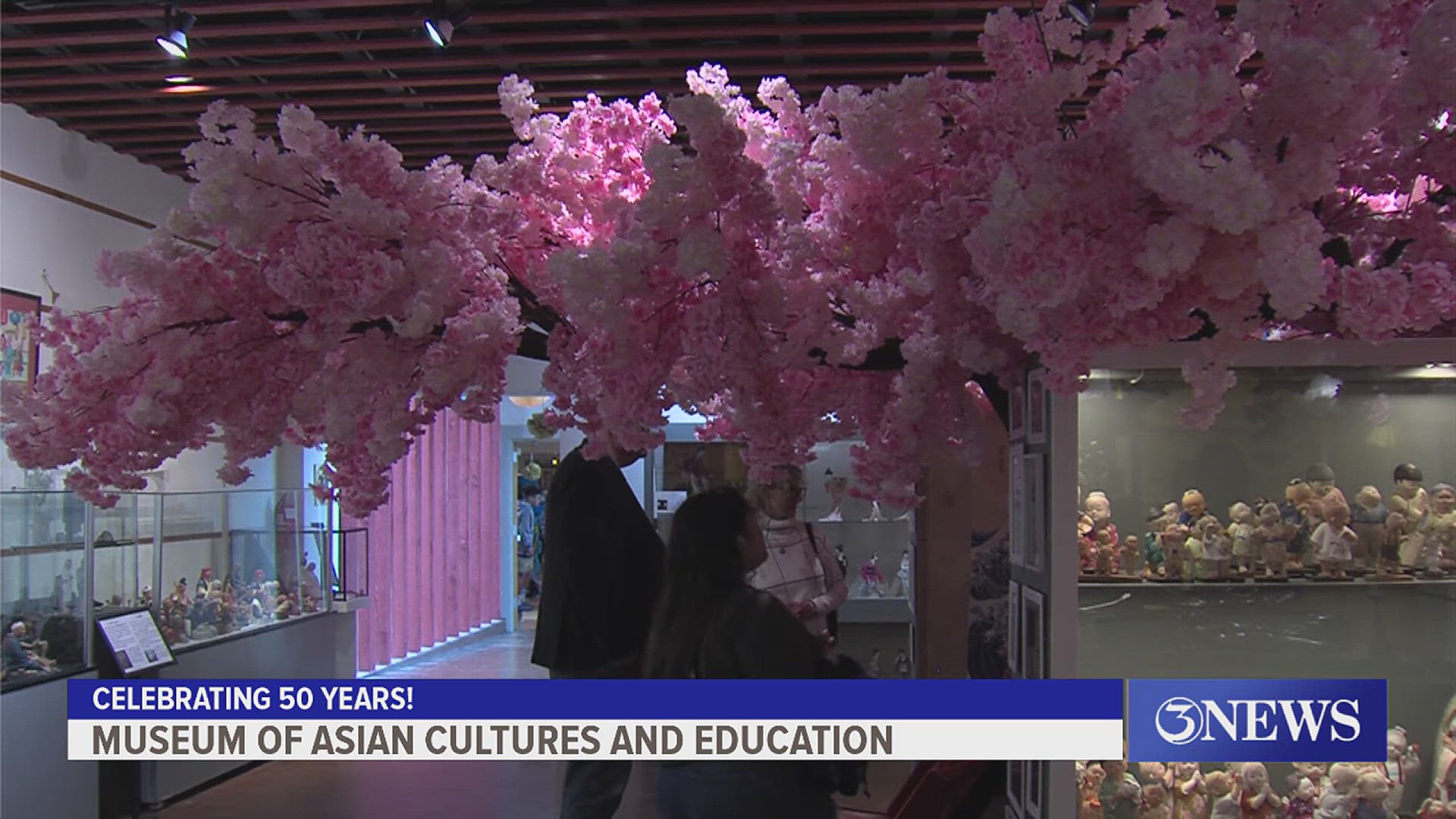 World Elephant Day celebrated with festival at Museum of Asian Cultures ...