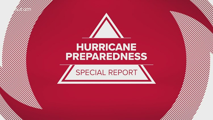 How to prepare for hurricane season if you have pets