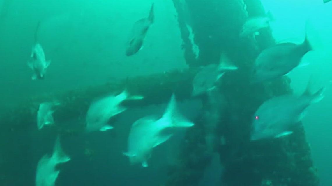 New bill could boost 'Rigs-to-Reefs' program, backed by HRI research