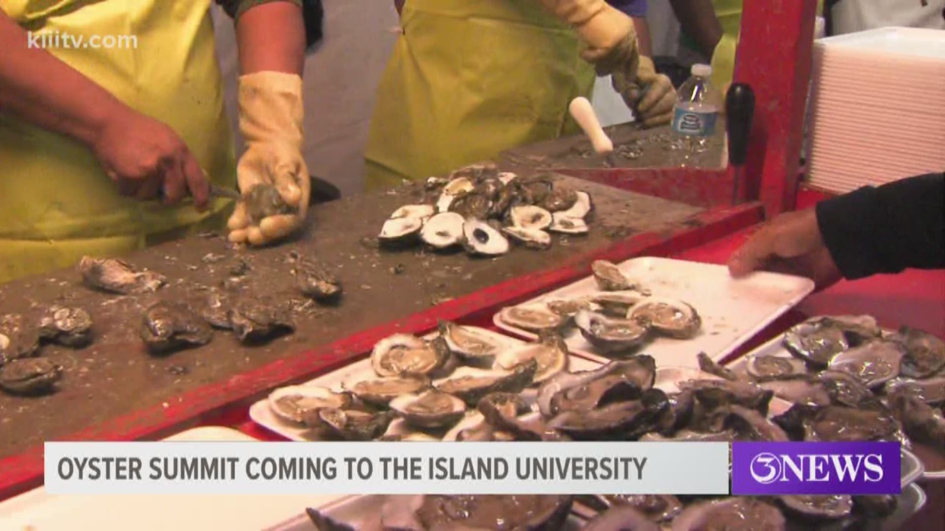 The first-ever Texas Oyster Aquaculture Summit is coming to Texas A&M University-Corpus Christi Wednesday.
