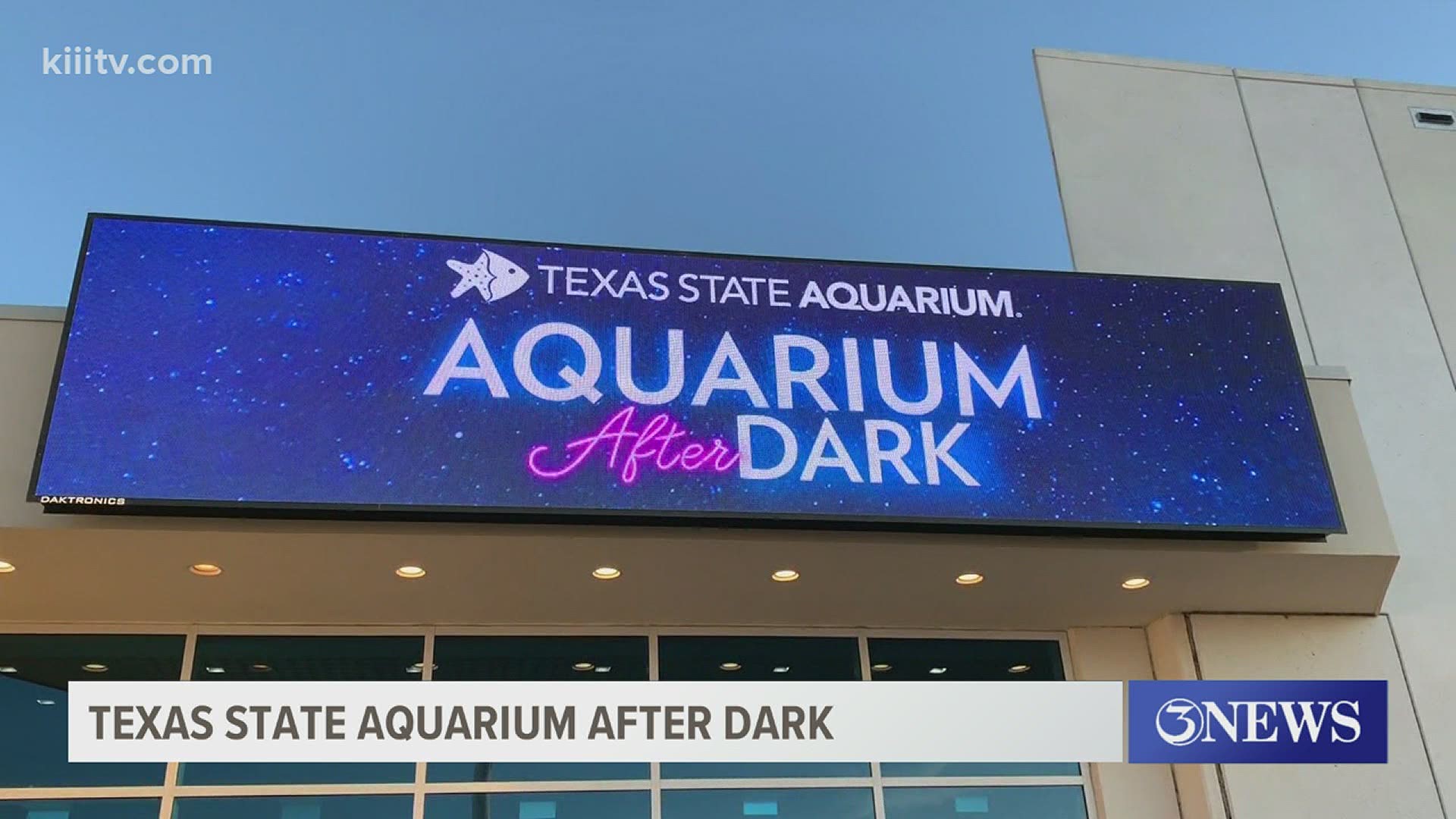 It's a chance to check out the South Texas sunset and experience the attractions at the aquarium.