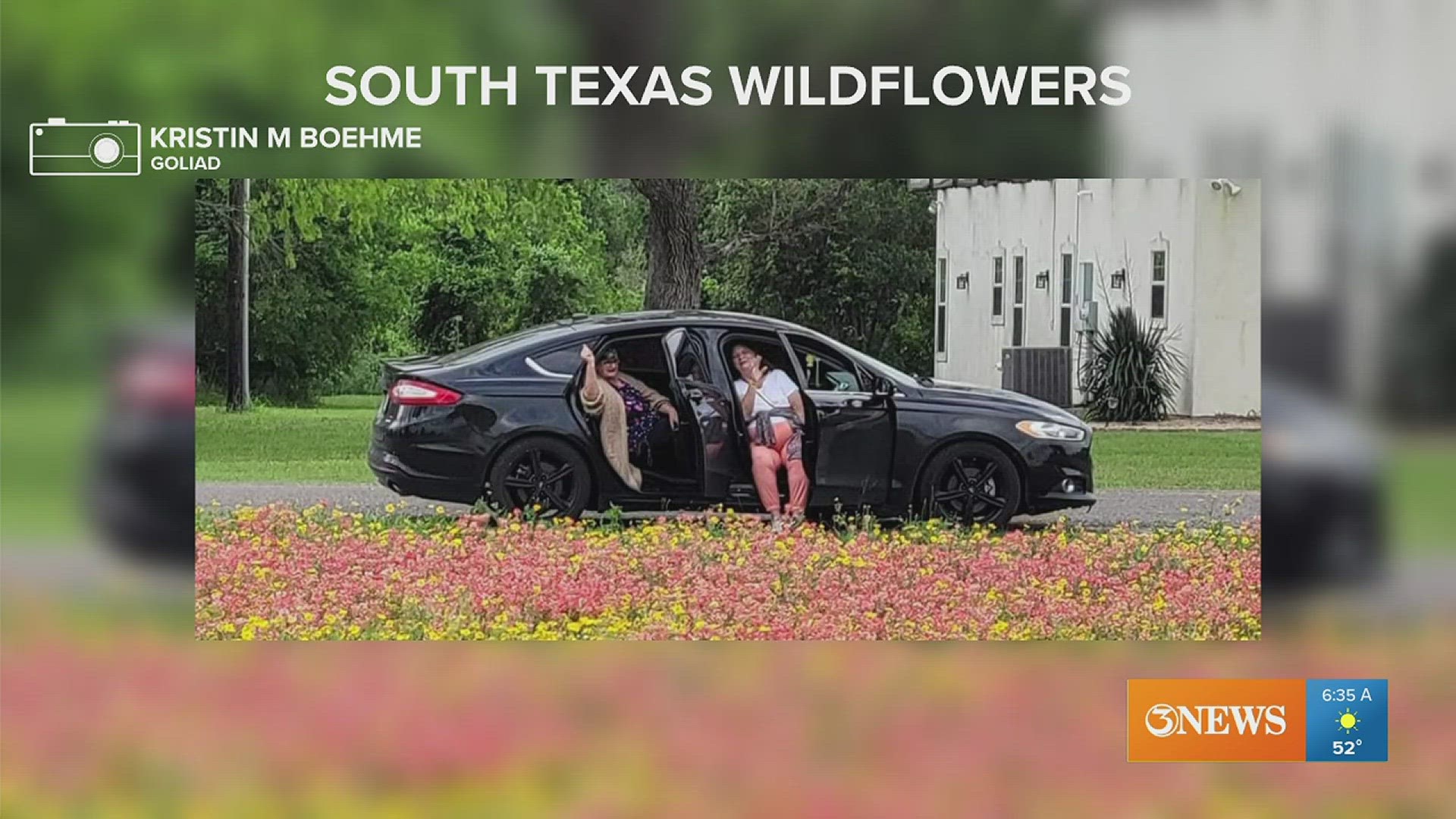 Keep sending Kristin your wildflower and Bluebonnet pictures, South Texas! Thay could be featured on First Edition Friday morning!