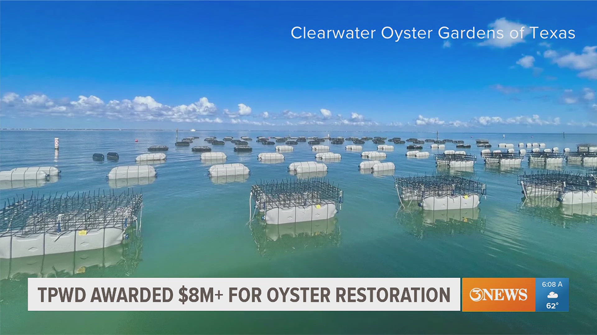 The grant is intended to restore heavily degraded oyster reefs in Texas.