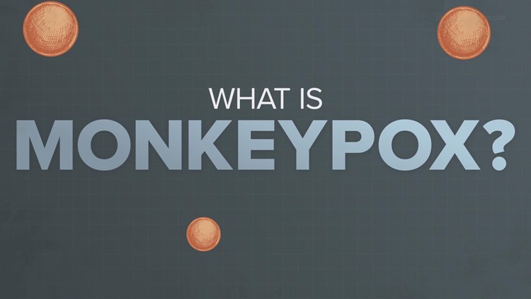 Explainer: What is monkeypox?