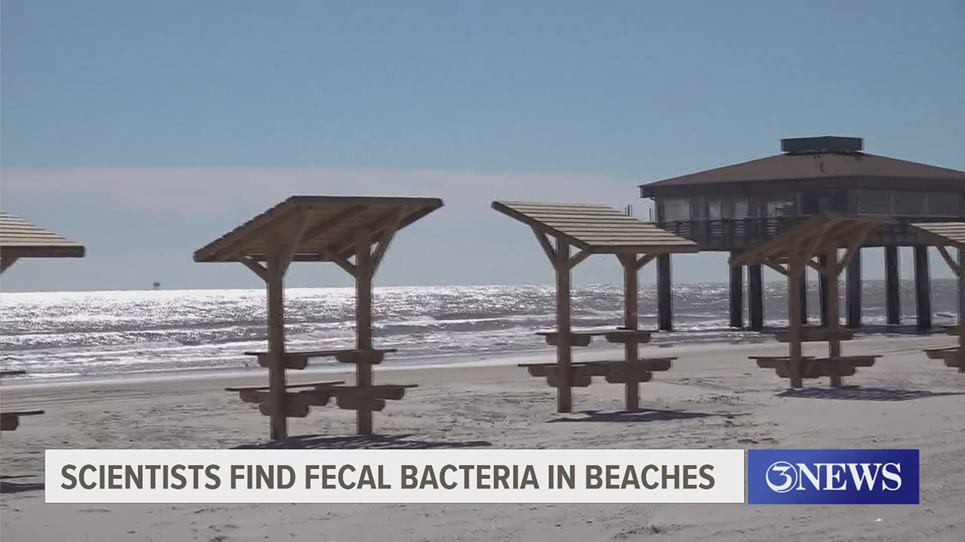 According to data from the Blue Water Task Force, medium level bacteria was found at Padre Balli Beach and the north JP Luby Surf Park location.