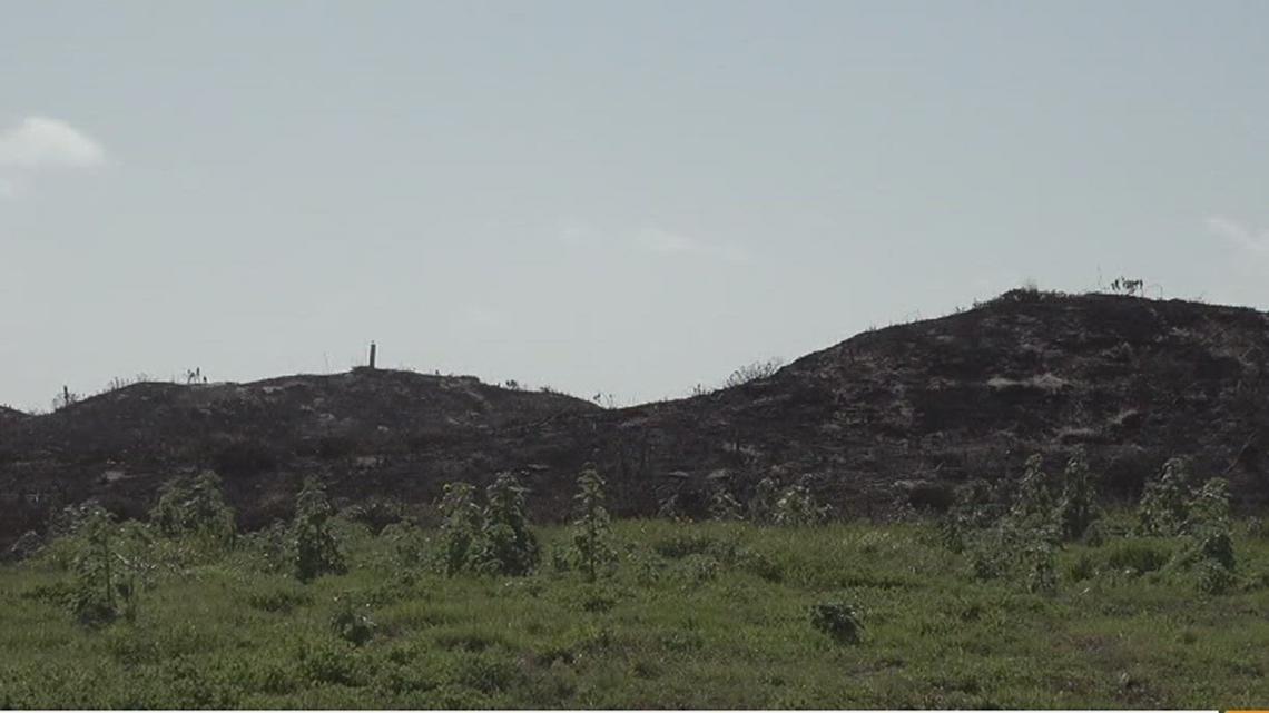 Nueces County Expected To Extend Burn Ban As Drought Continues Kiiitv