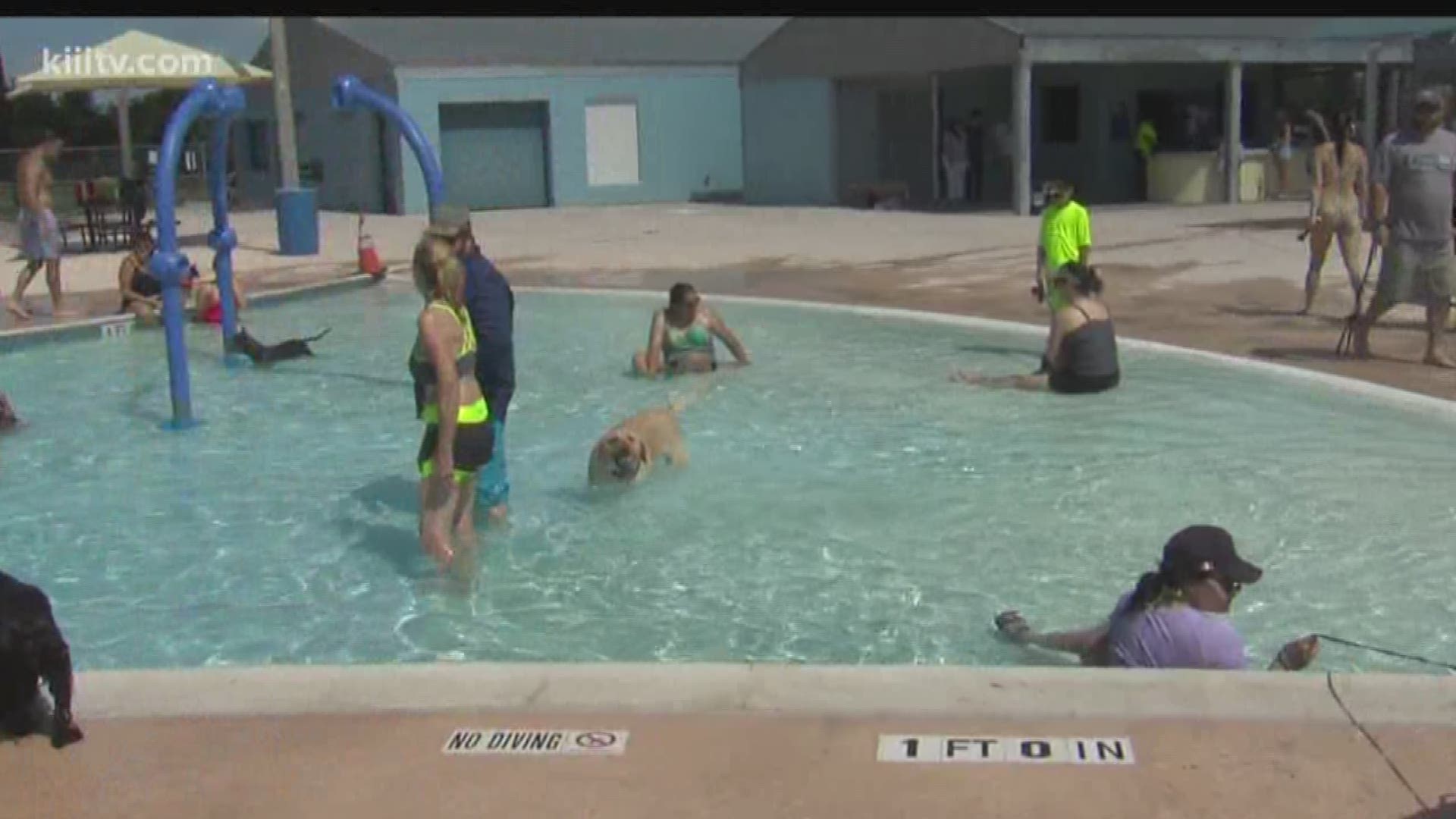 H-E-B pool hosts annual Doggy Dip