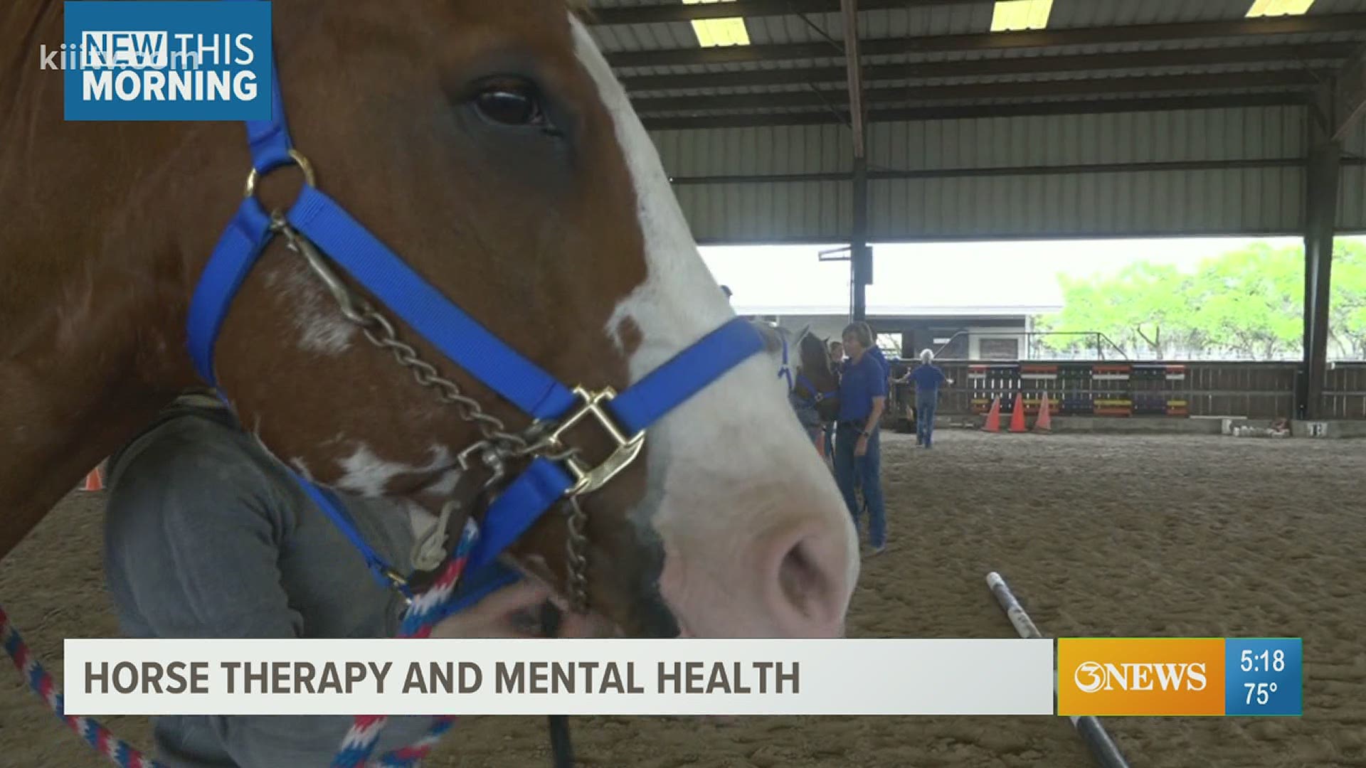 Glenoak Therapeutic Riding Center helps those with mental and physical challenges.